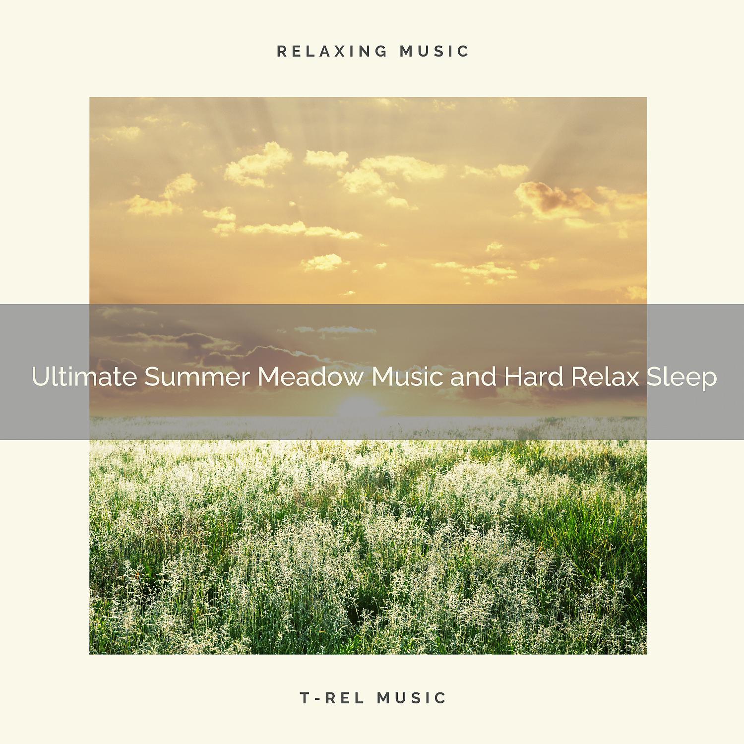 Постер альбома 2020 Best: Ultimate Summer Meadow Music and Hard Relax Sleep
