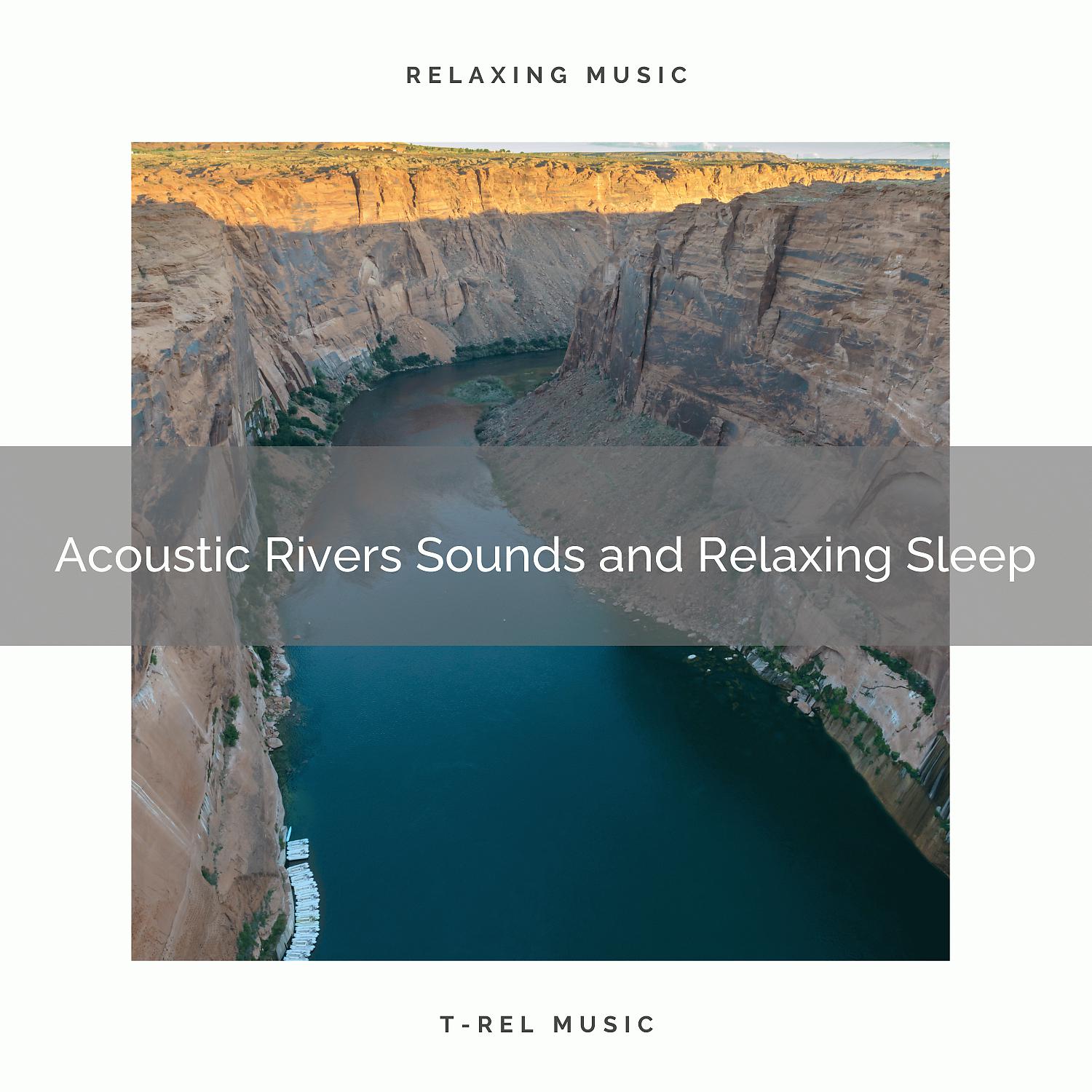 Постер альбома 2020 Best: Acoustic Rivers Sounds and Relaxing Sleep