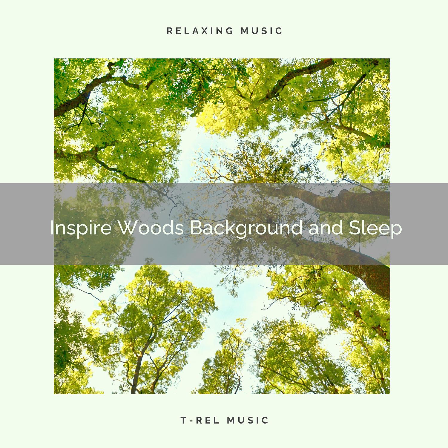 Постер альбома 2020 Best: Inspire Woods Background and Sleep