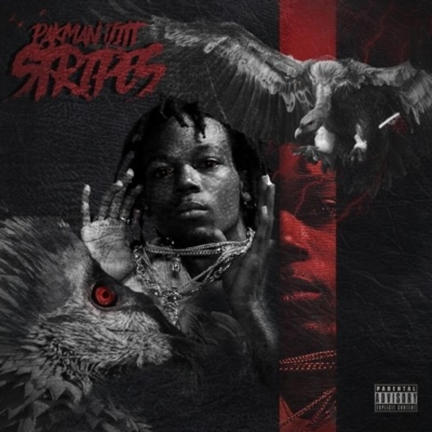 Pakman Jitt - Stripes