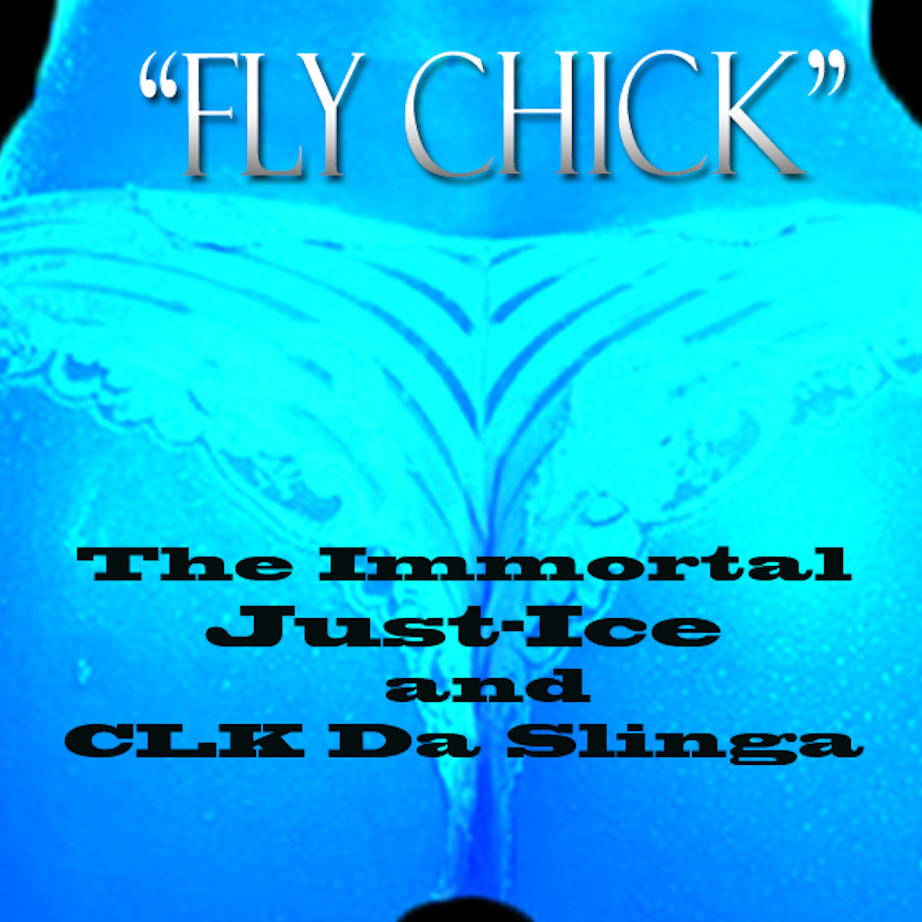 Постер альбома Fly Chick