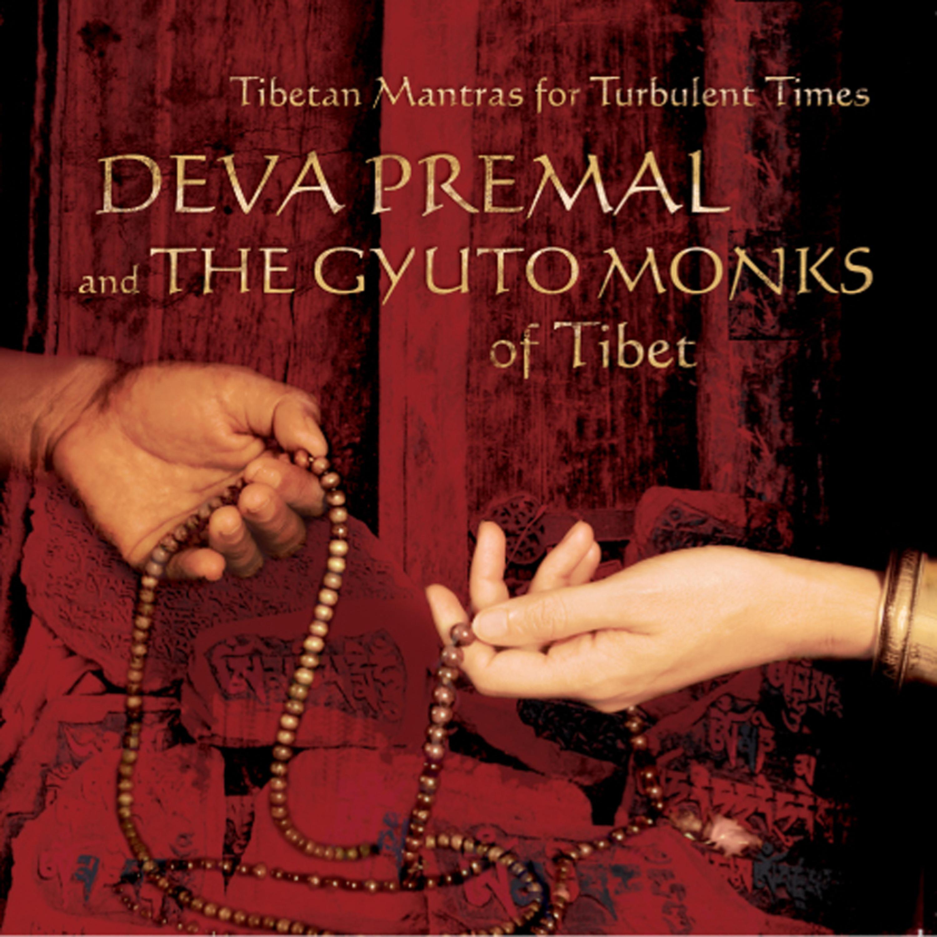 Постер альбома Tibetan Mantras For Turbulent Times