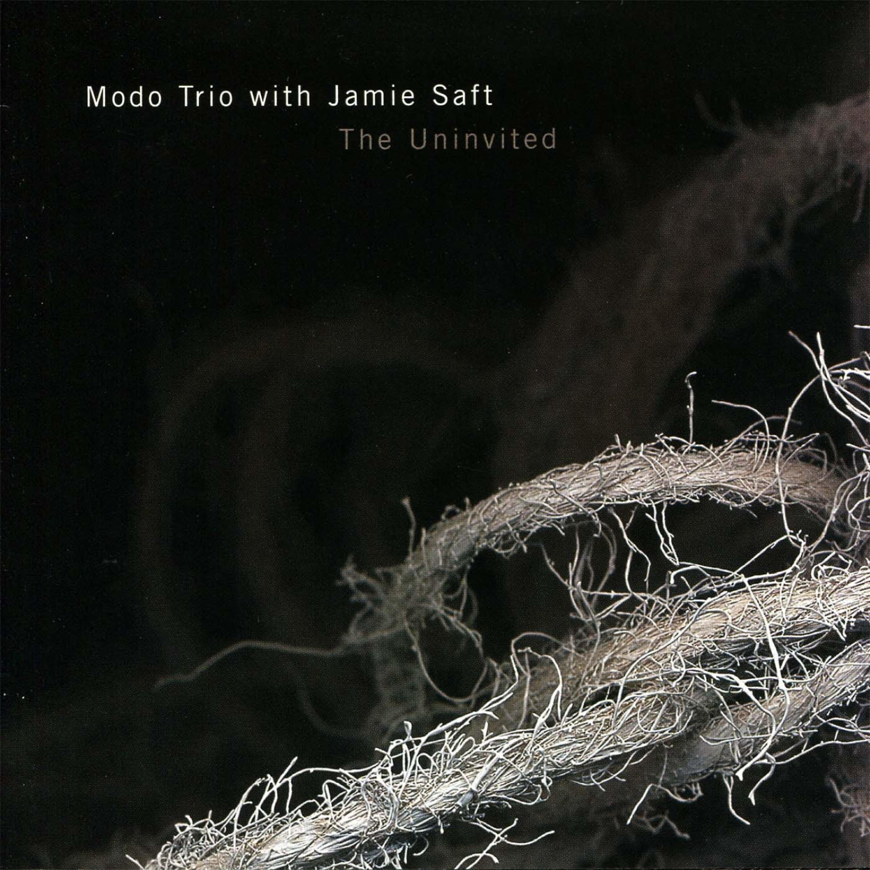 Modo Trio - You Are Being Probed