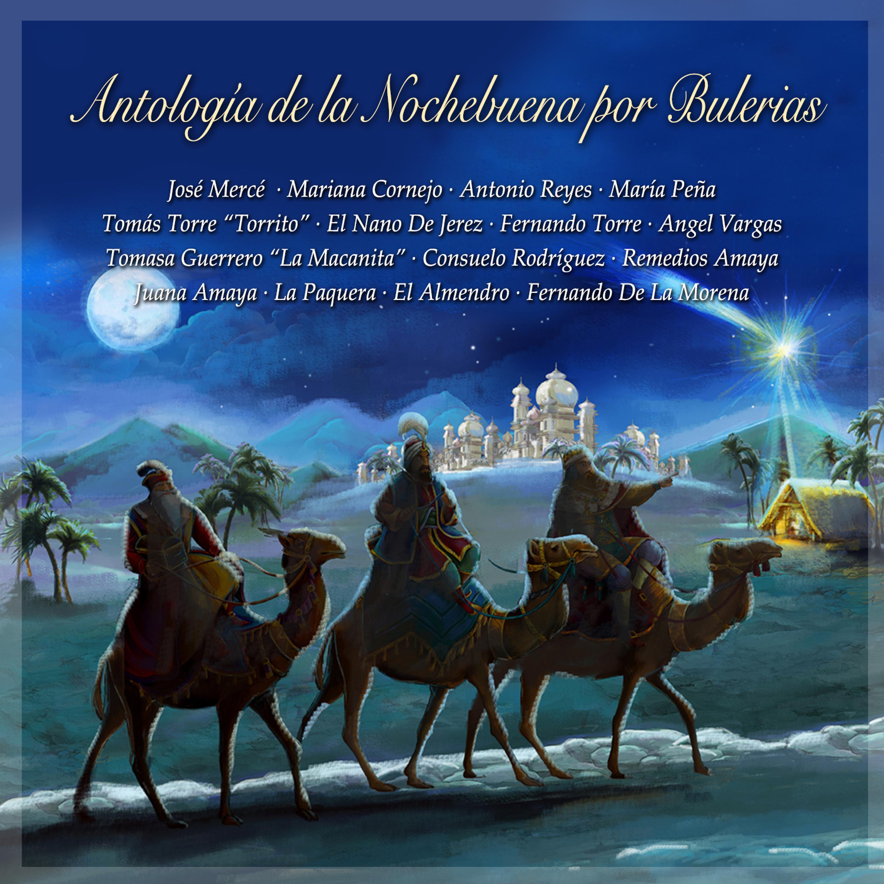 Постер альбома Antologia de la Nochebuena por Bulerías
