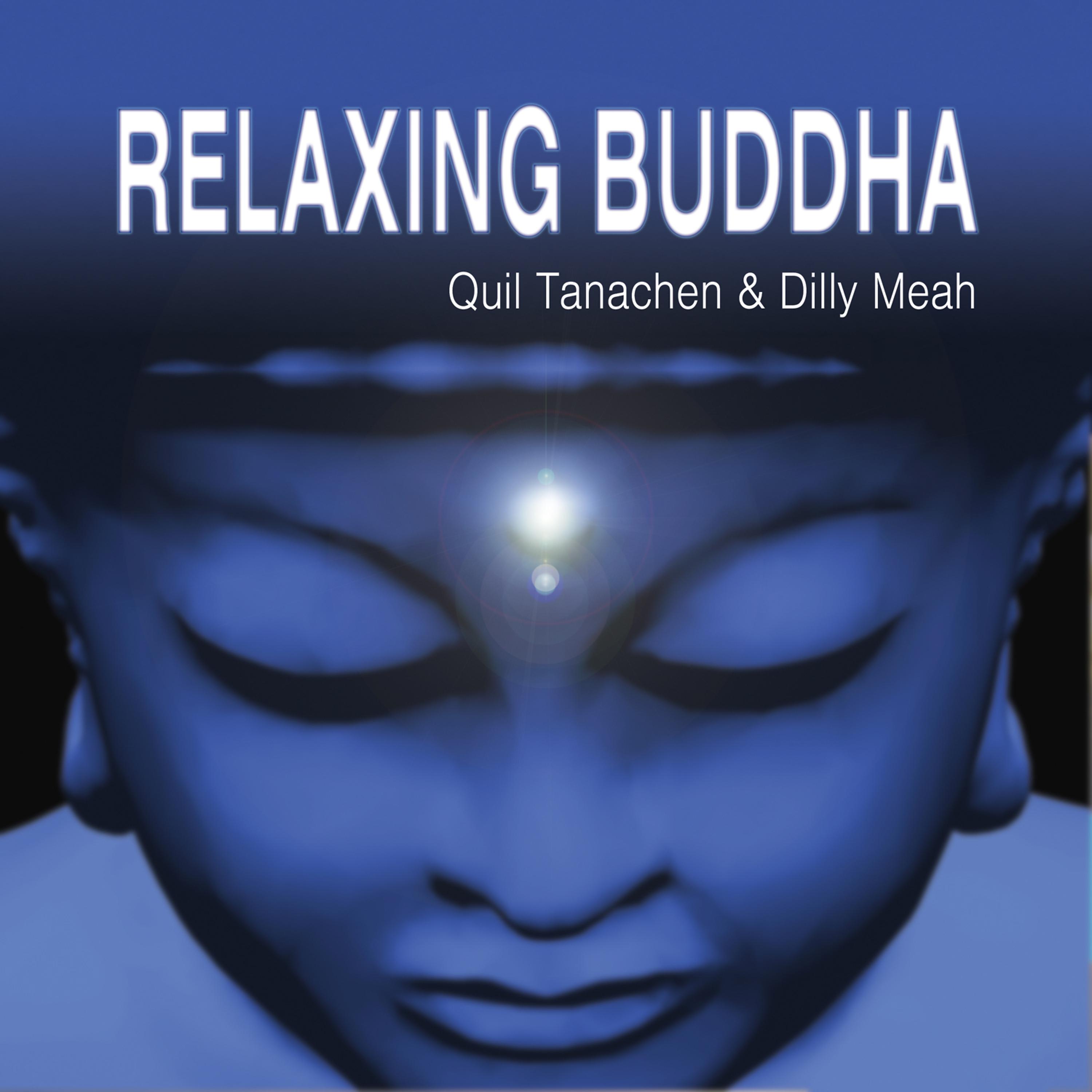 Постер альбома Relaxing Buddha