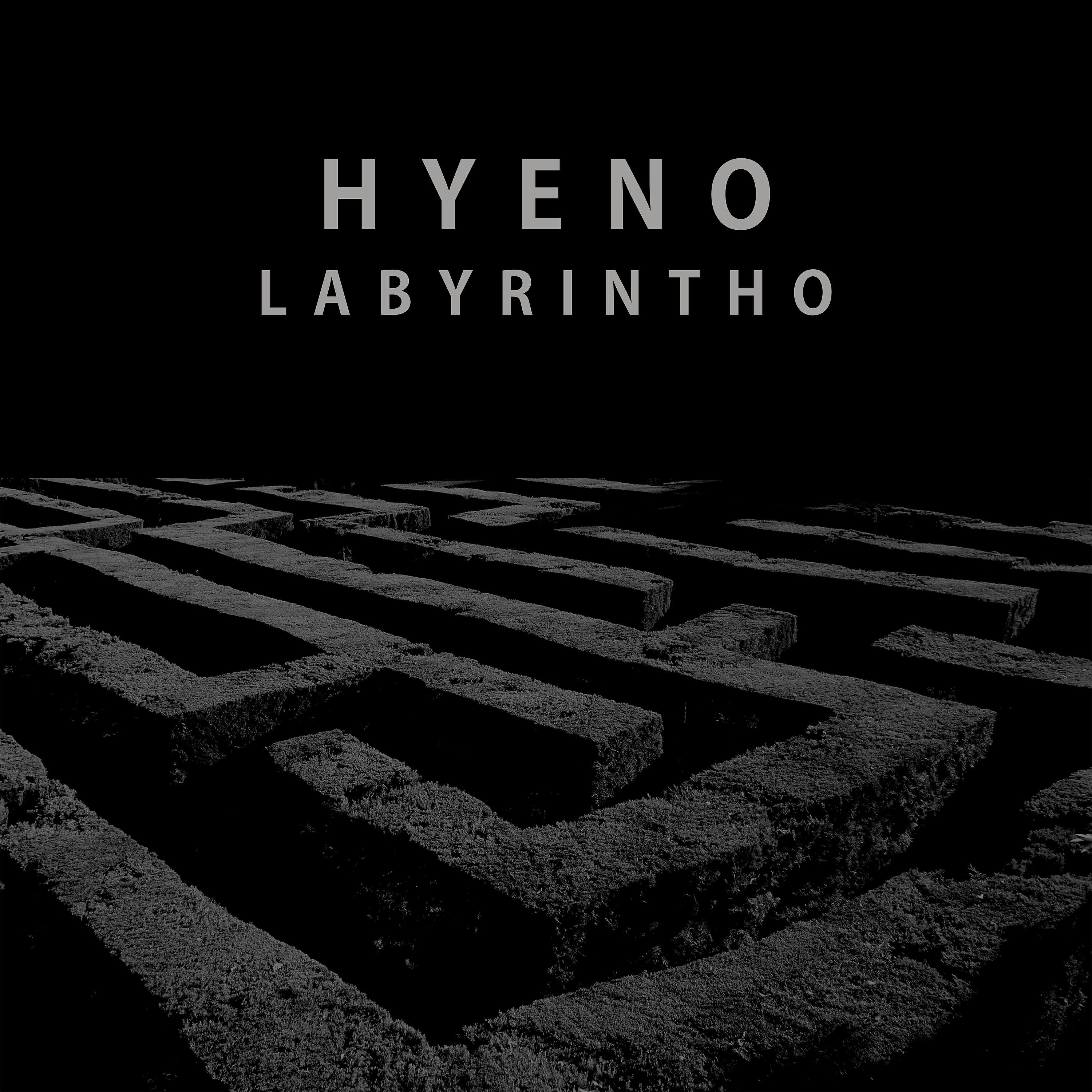 Hyeno - Machino