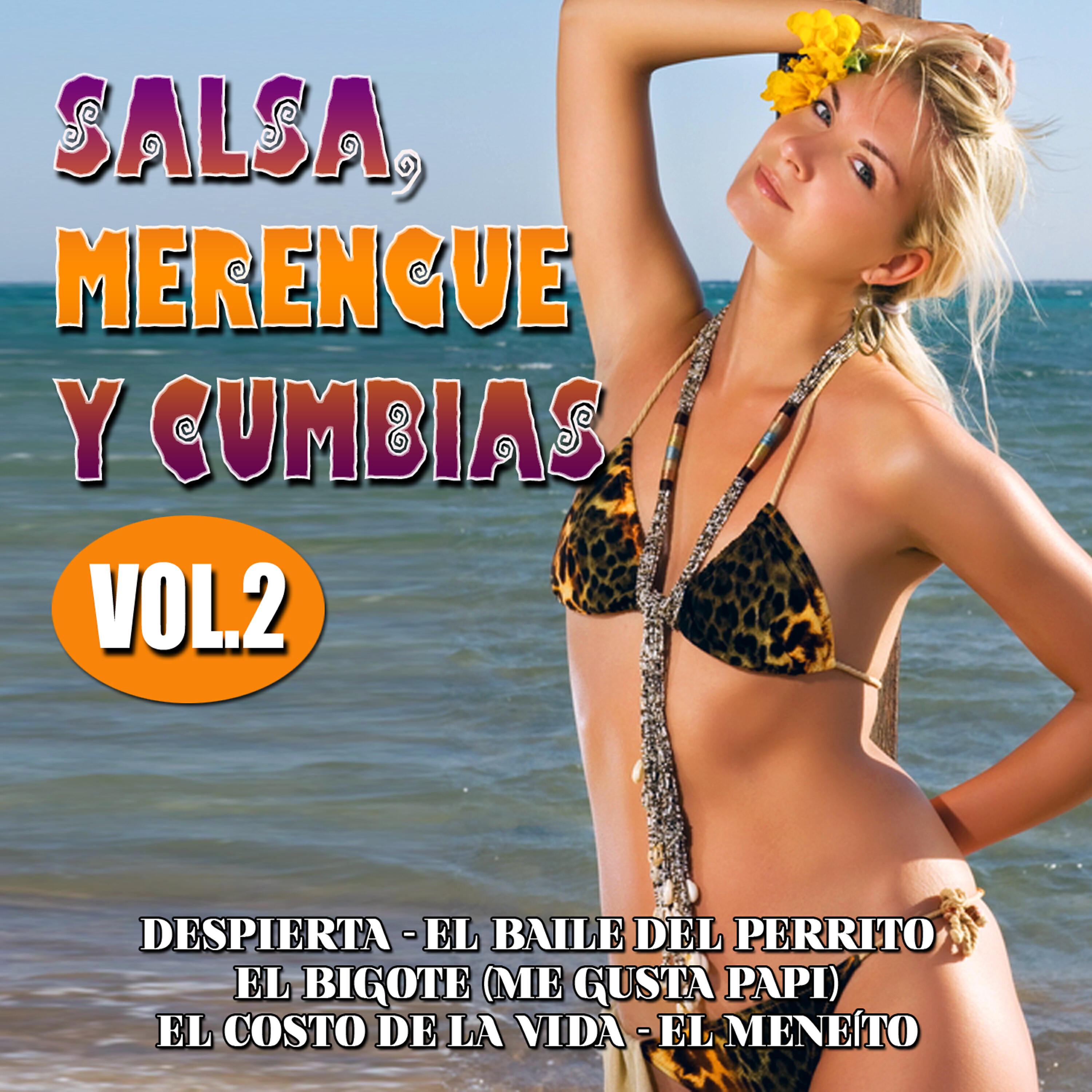 Andy Rivalta - Me Ha Robado el Corazón