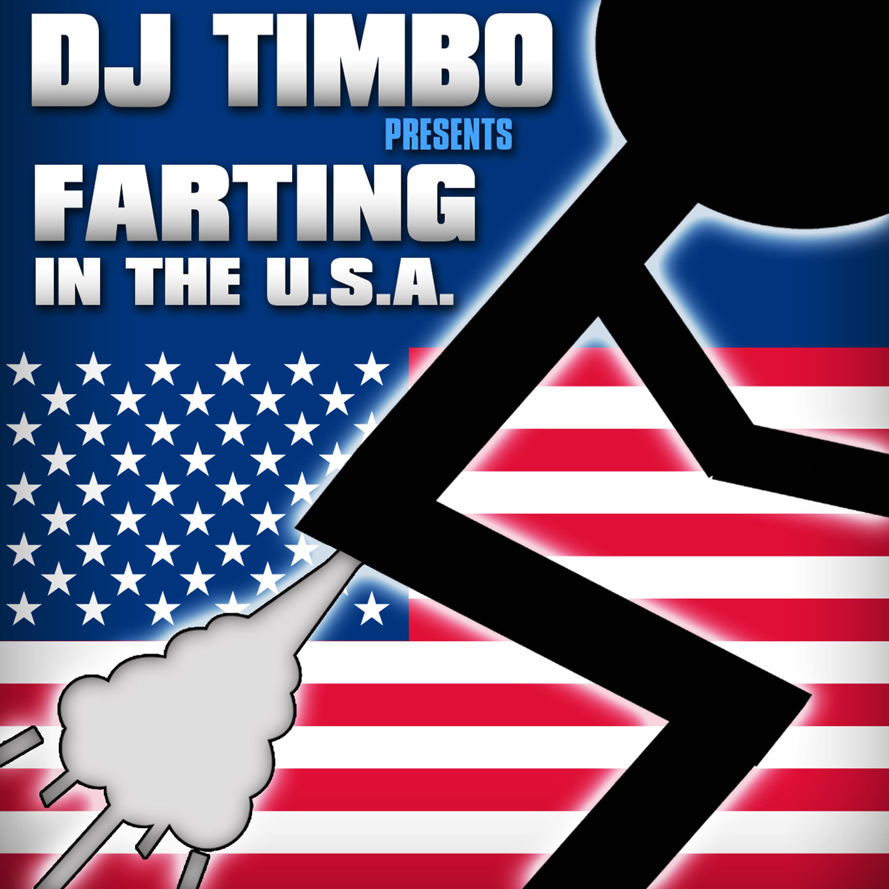 Постер альбома Farting in the USA (Miley Cyrus Parody) Silent But Deadly Party Mix