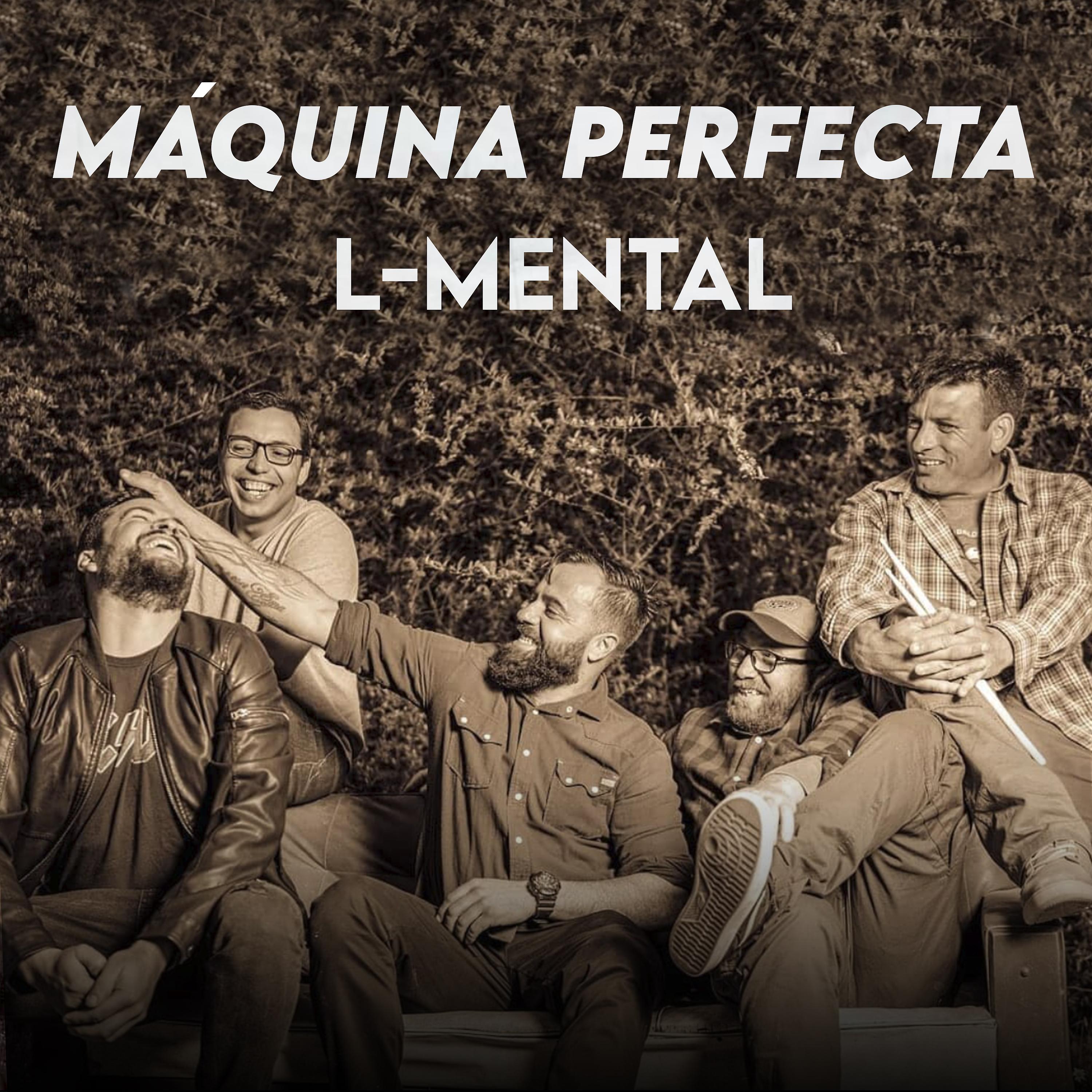 Постер альбома Máquina Perfecta