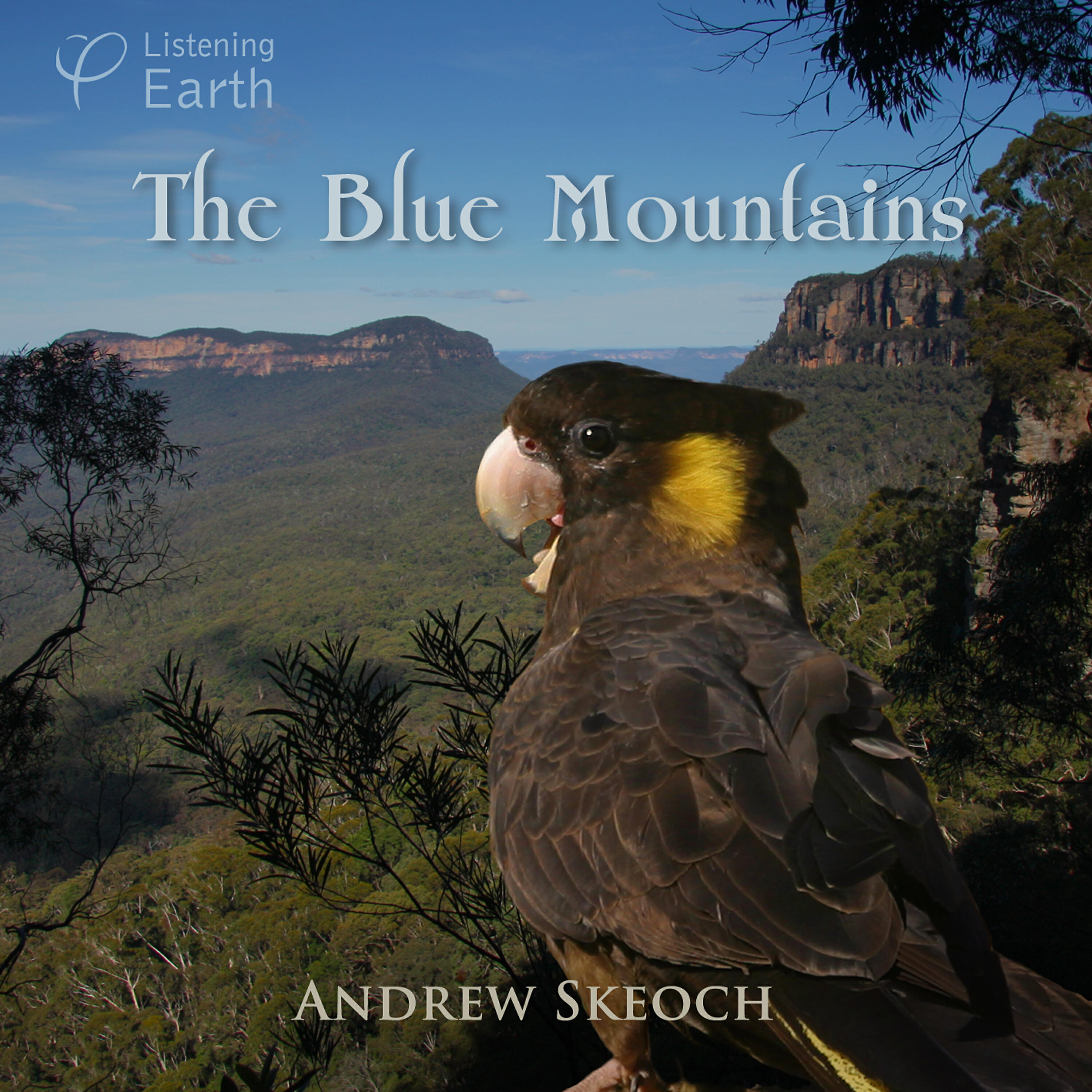 Andrew Skeoch - Nightime Ambience