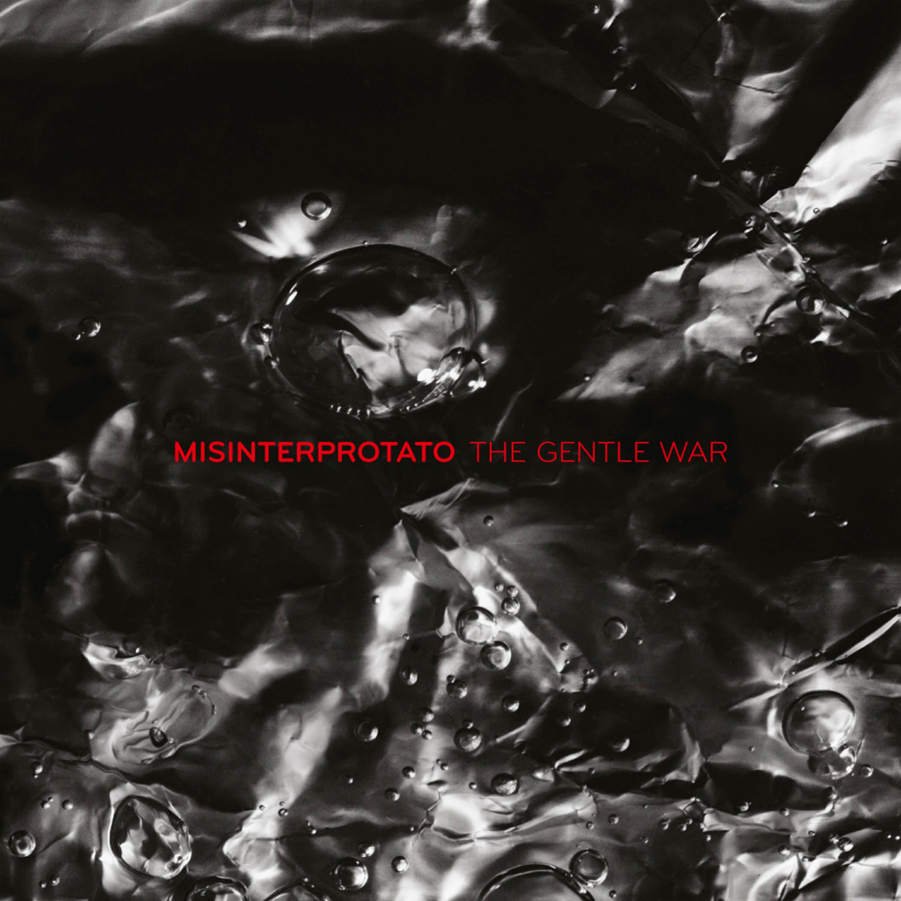 Misinterprotato - Not According To Plan