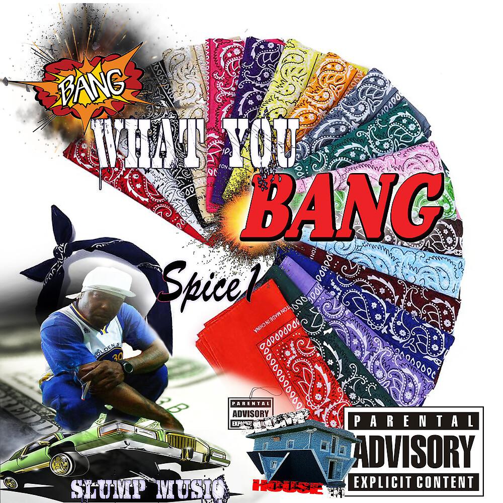 Постер альбома Bang What You Bang