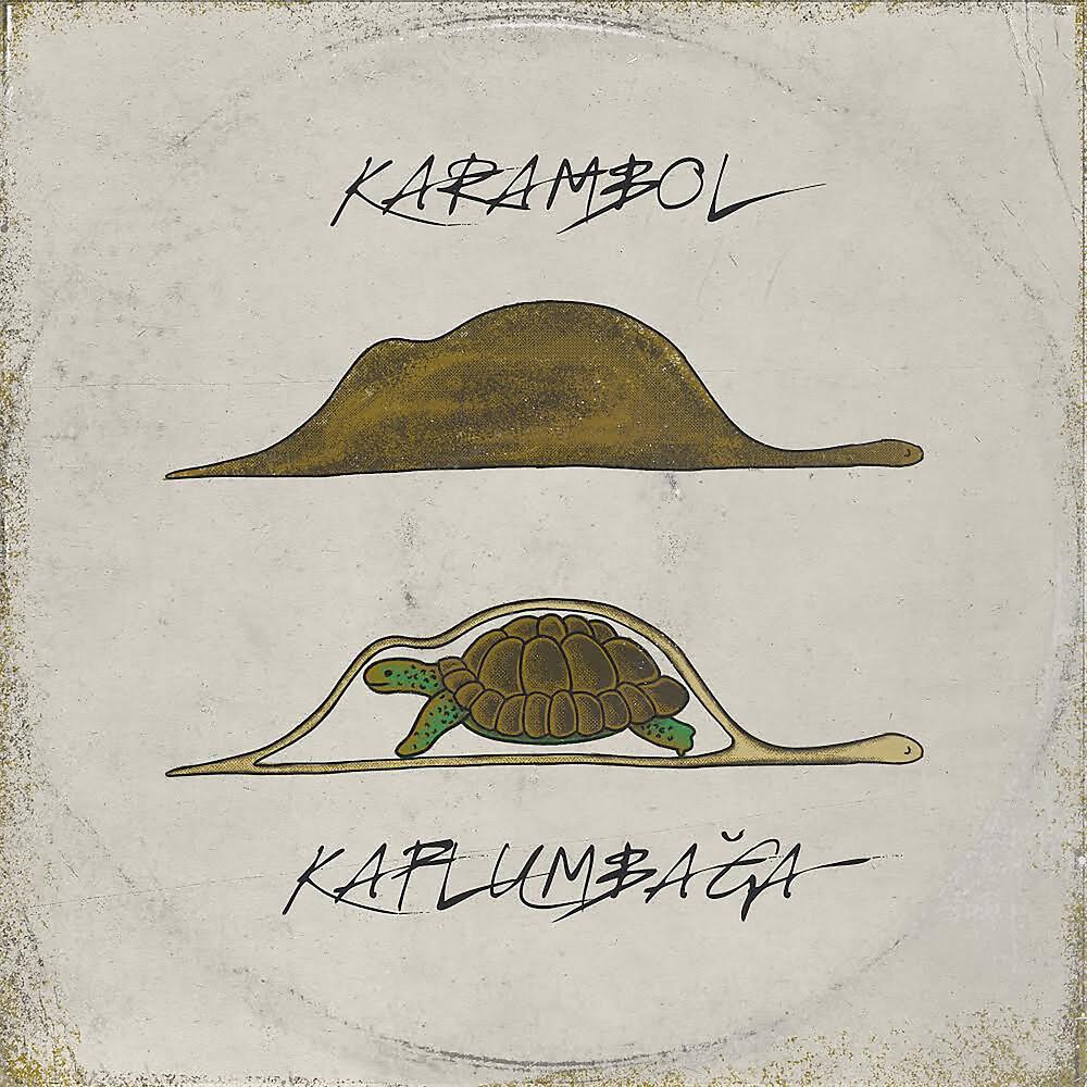 Постер альбома Kaplumbağa