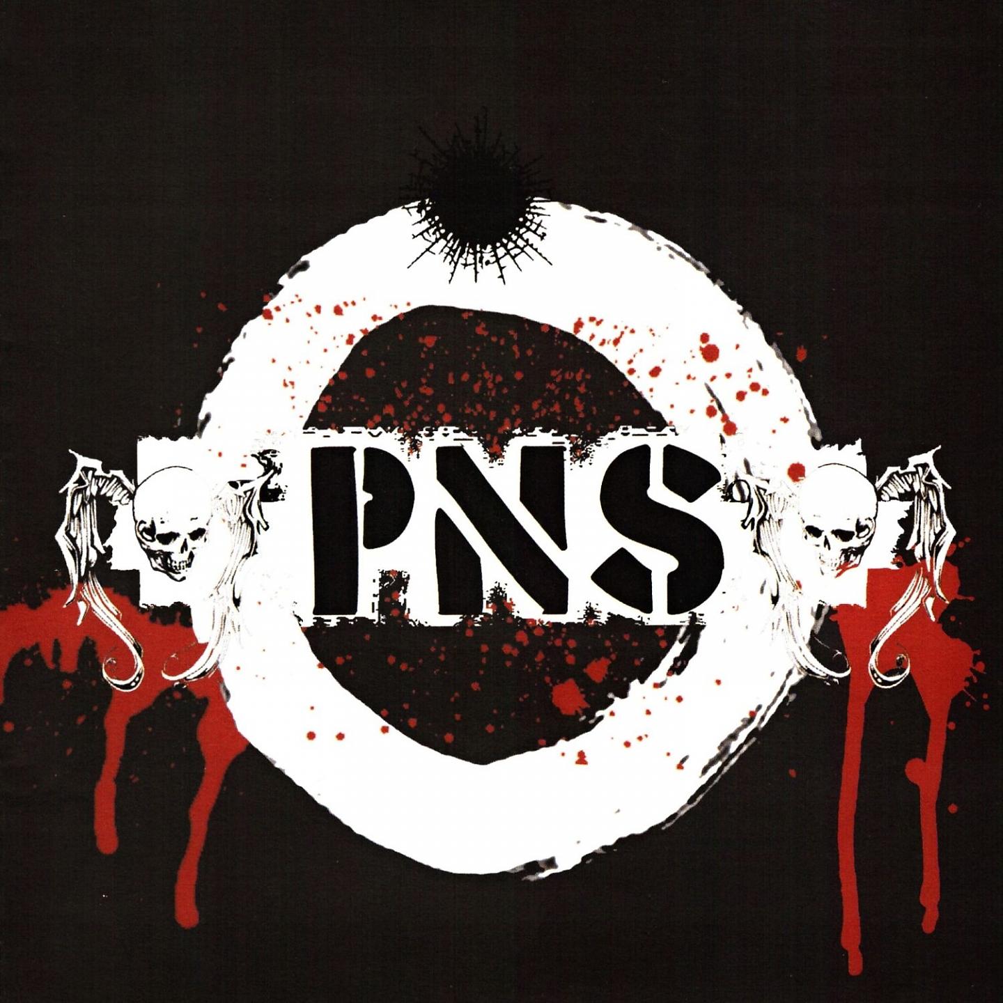 Постер альбома PNS