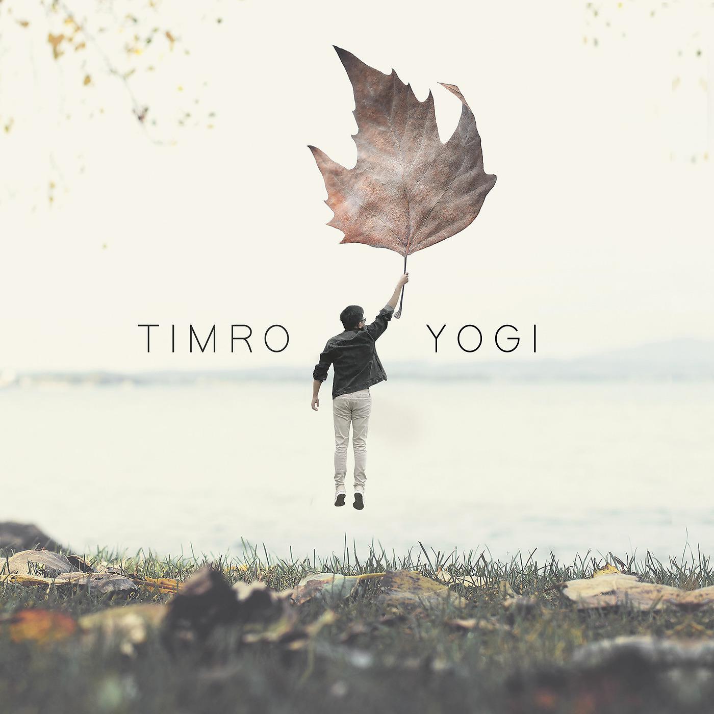 Постер альбома Timro
