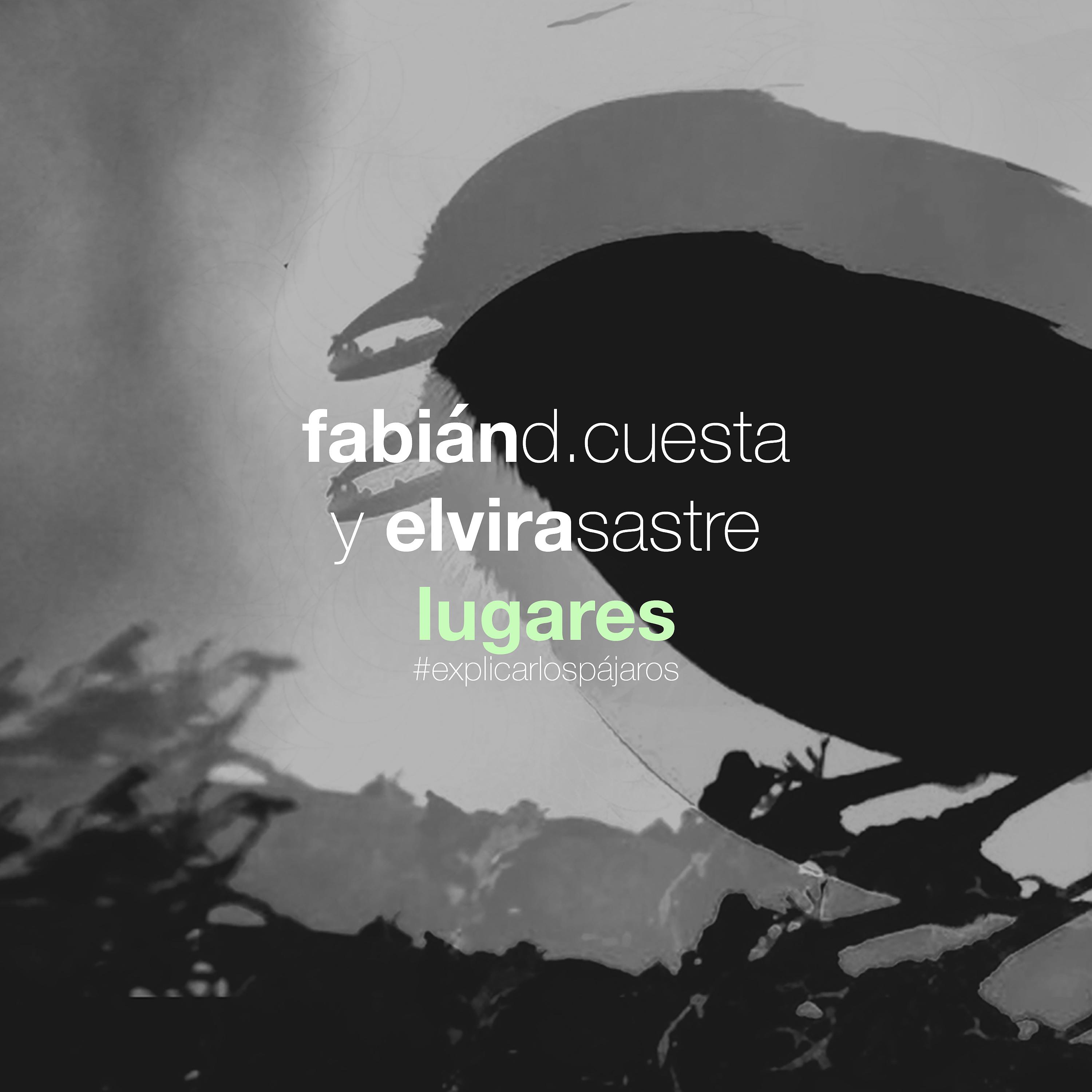 Постер альбома Lugares - Explicar los pájaros