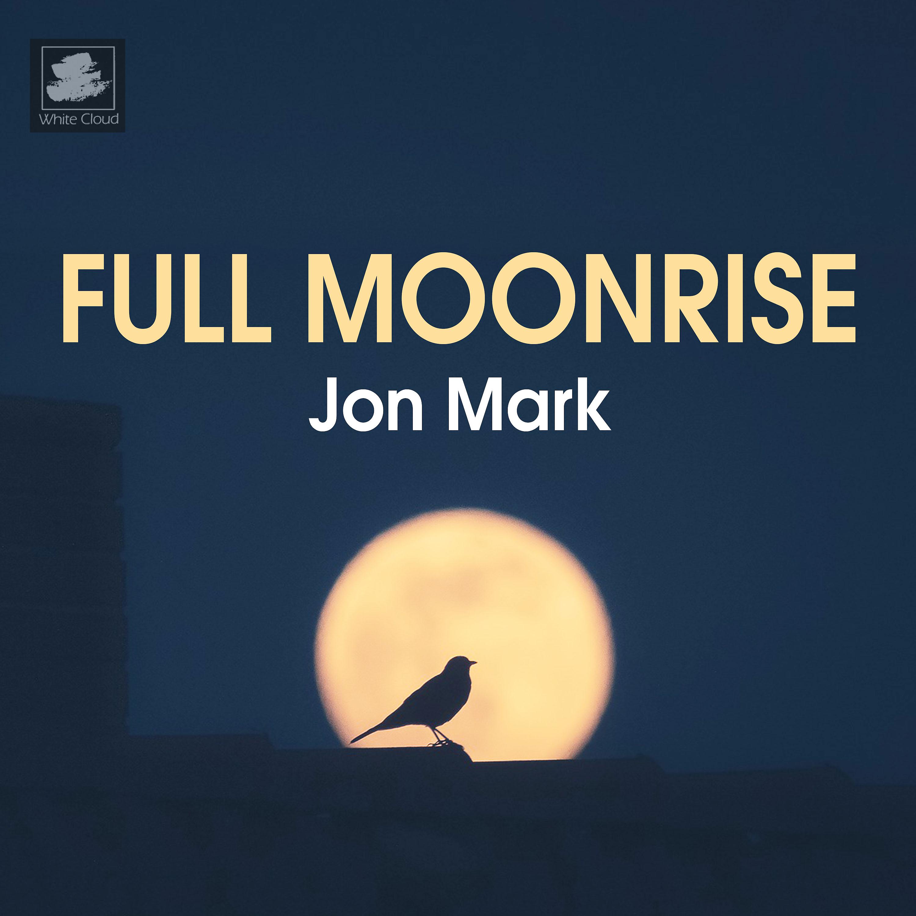 Постер альбома Full Moonrise