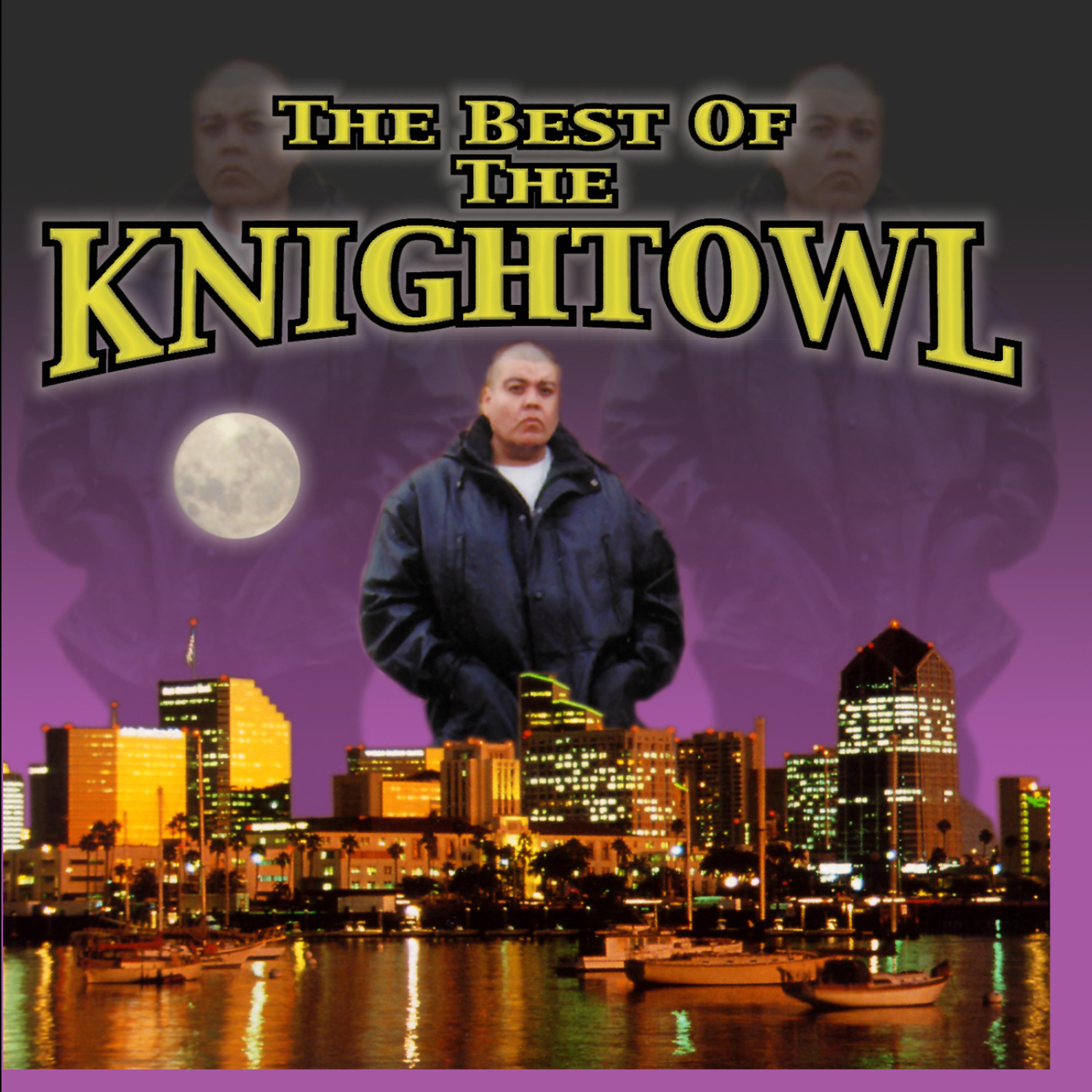 Постер альбома The Best of Knightowl
