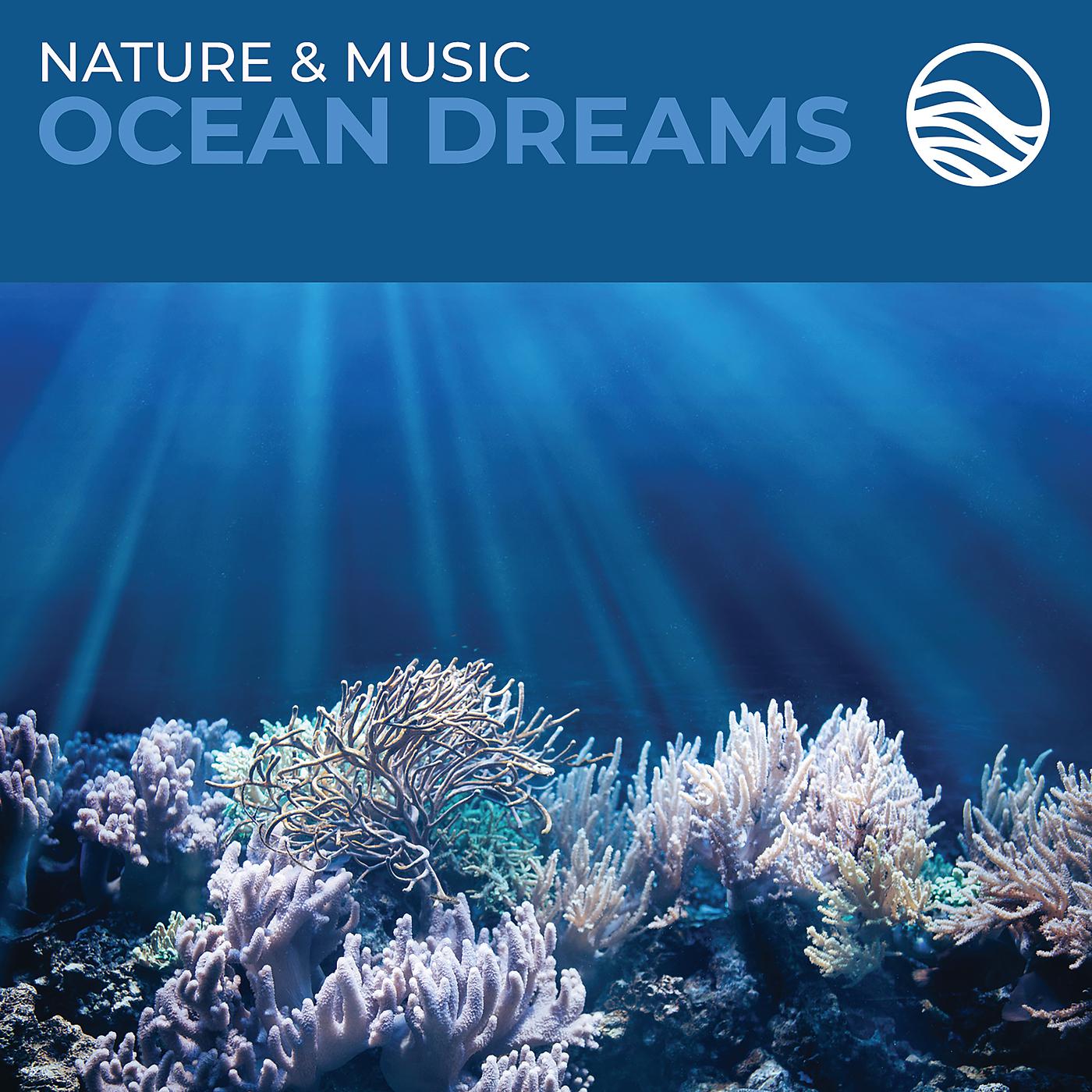 Постер альбома Nature & Music: Ocean Dreams
