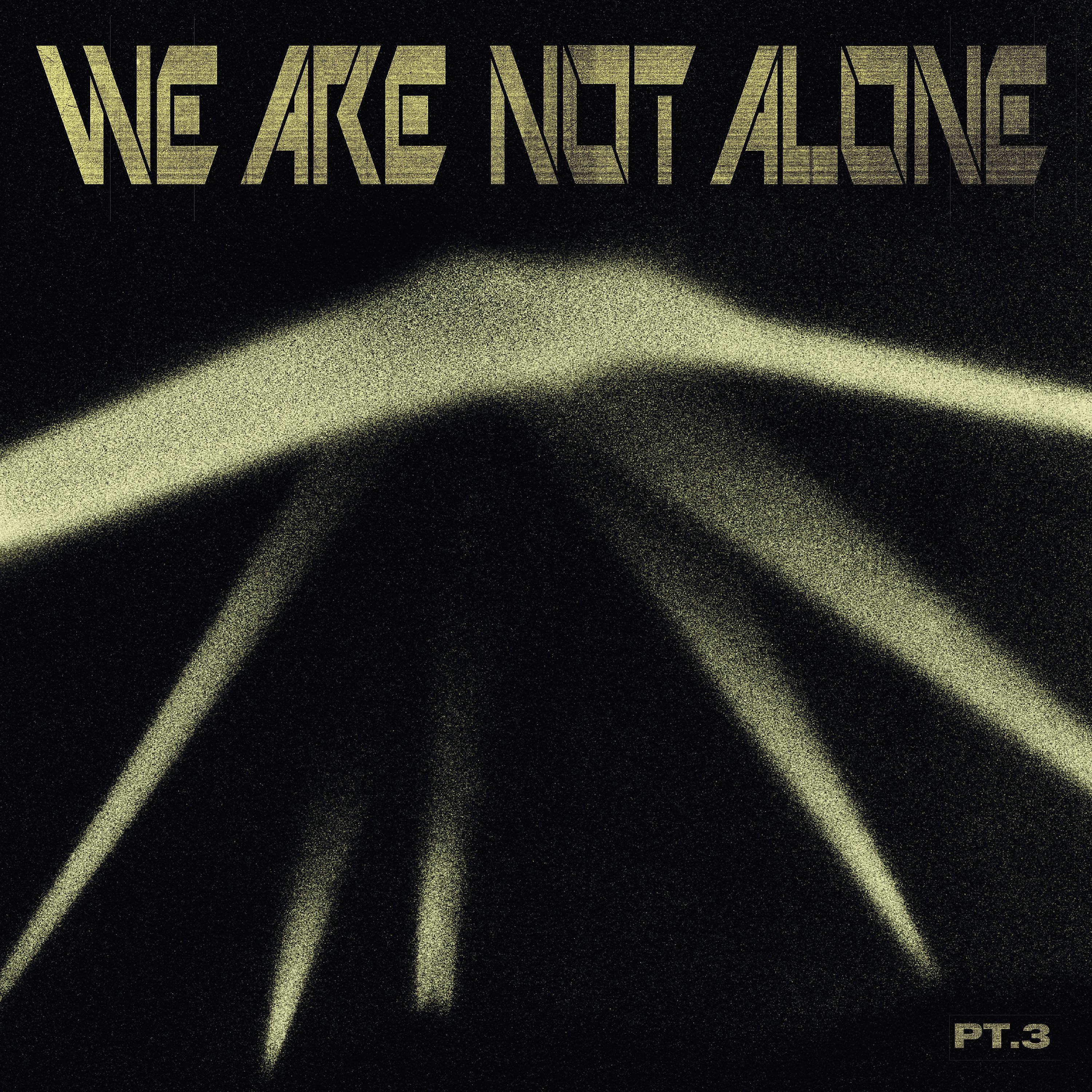 Постер альбома Ellen Allien Presents We Are Not Alone, Pt. 3