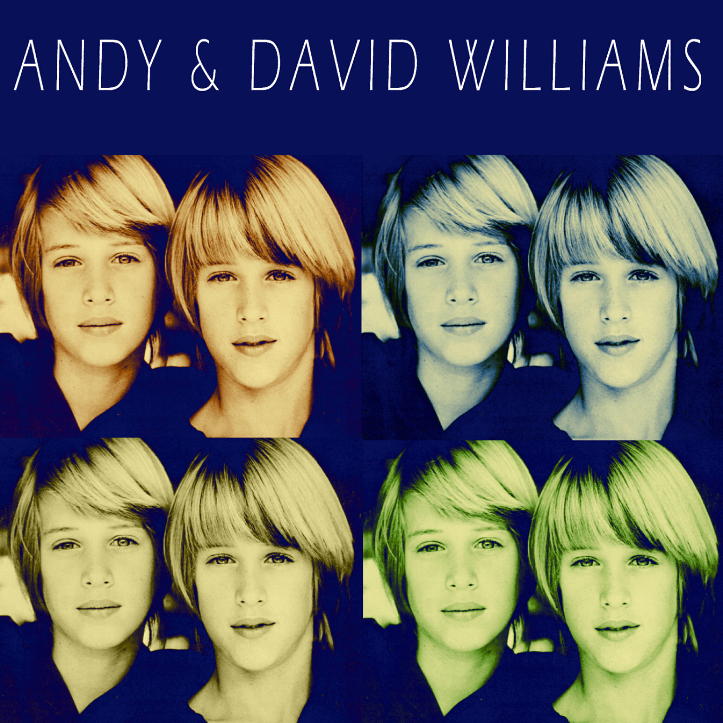 ANDY - Roll River