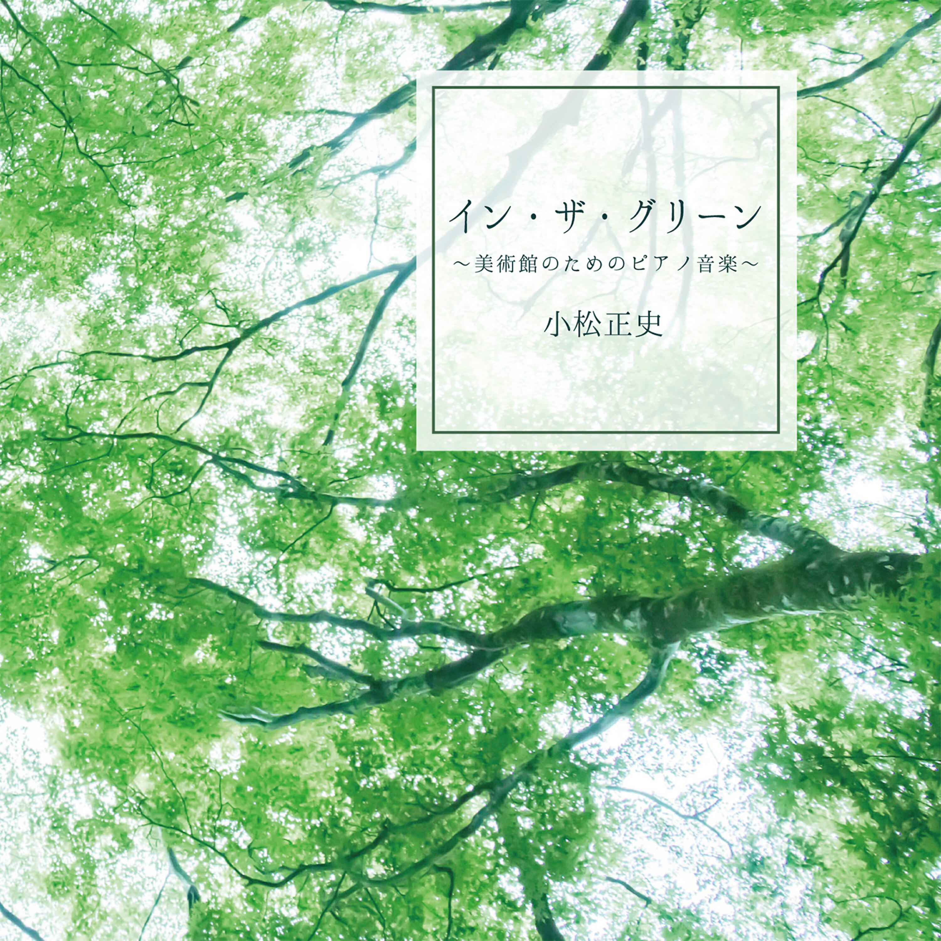 Masafumi Komatsu - A Forest Trail