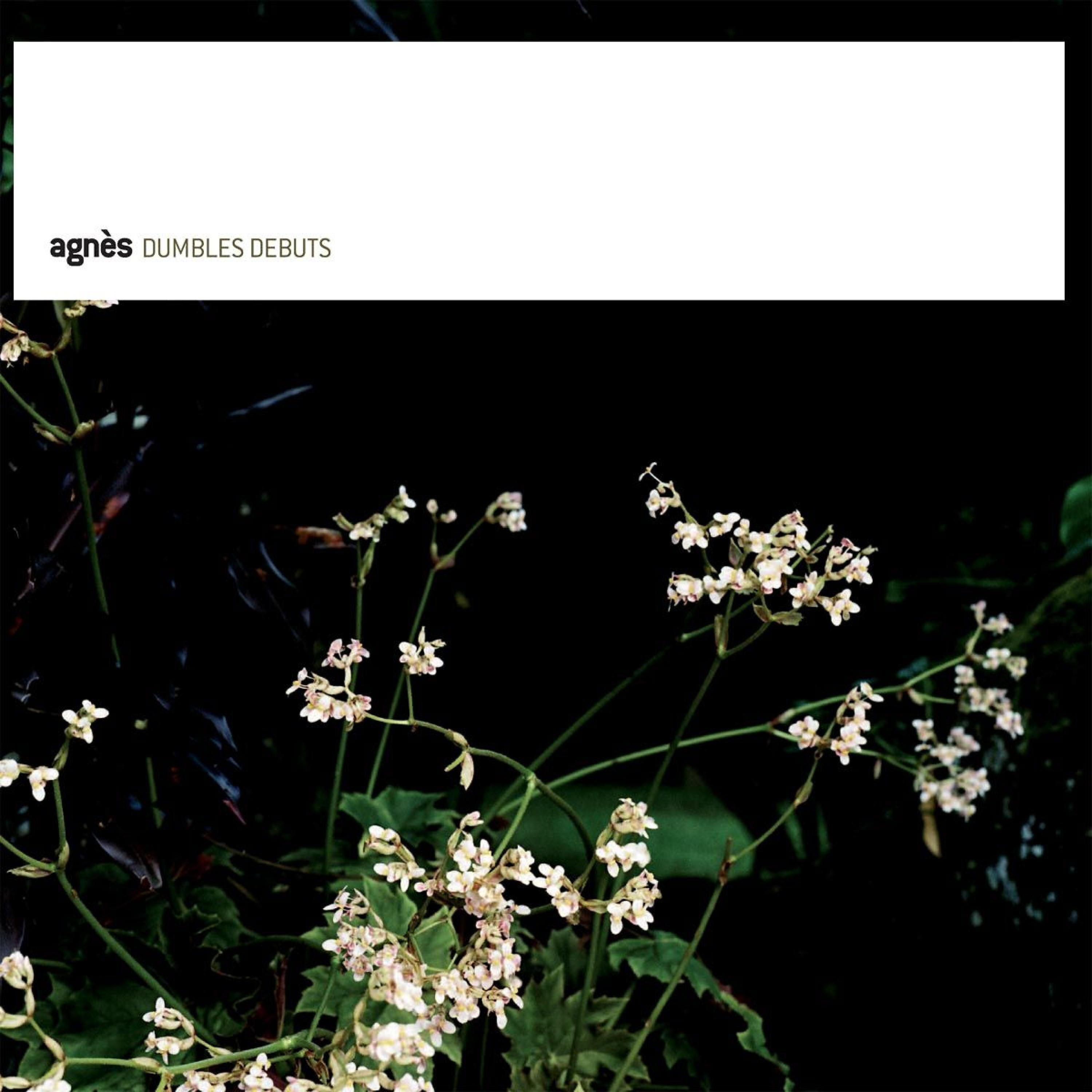Agnes - Track8 (LP Edit)