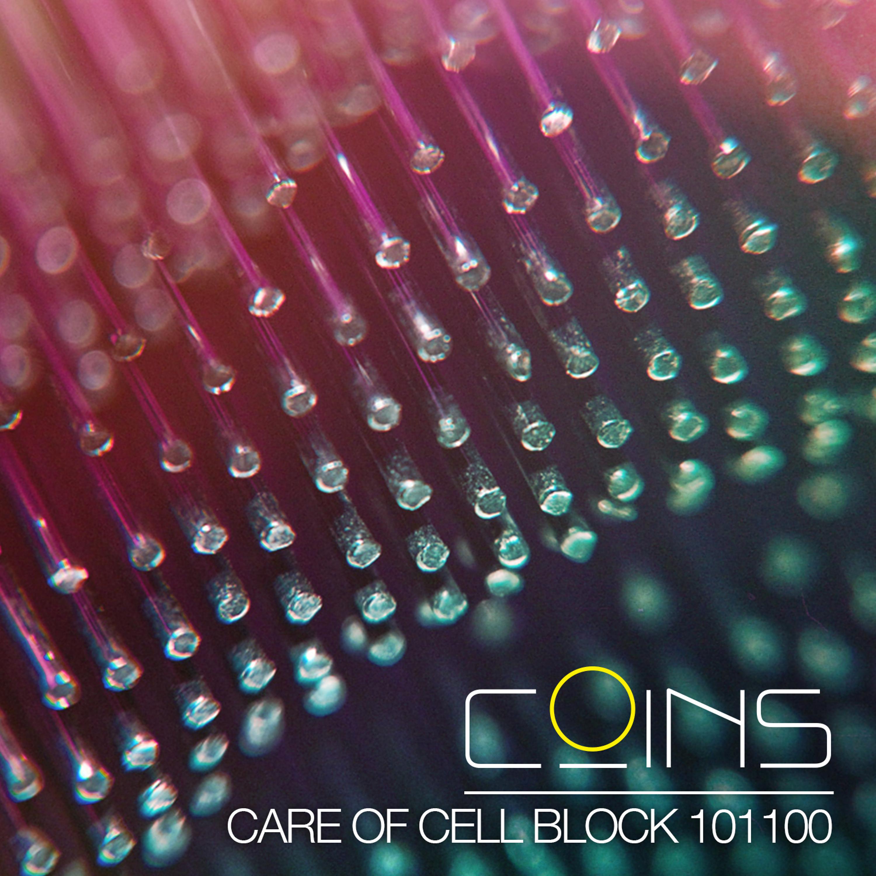 Постер альбома Care of Cell Block 101100