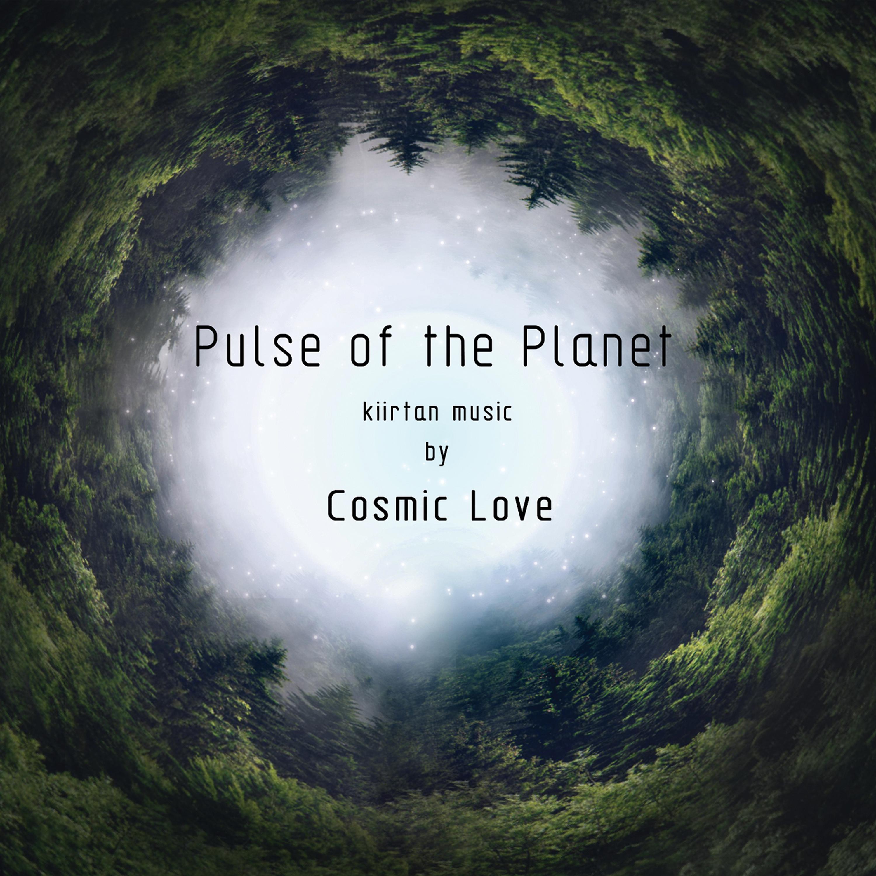 Постер альбома Pulse of the Planet