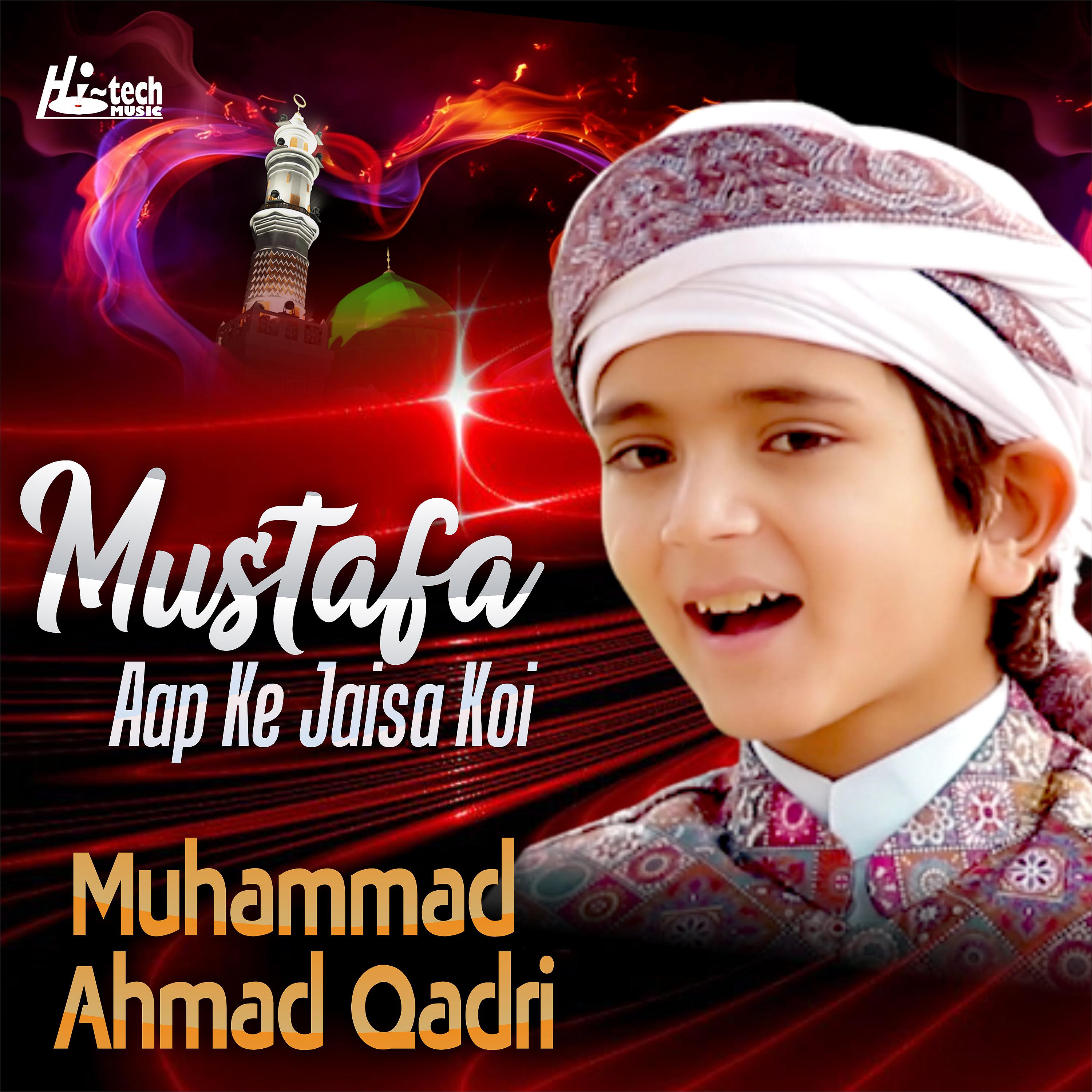 Постер альбома Mustafa Aap Ke Jaisa Koi