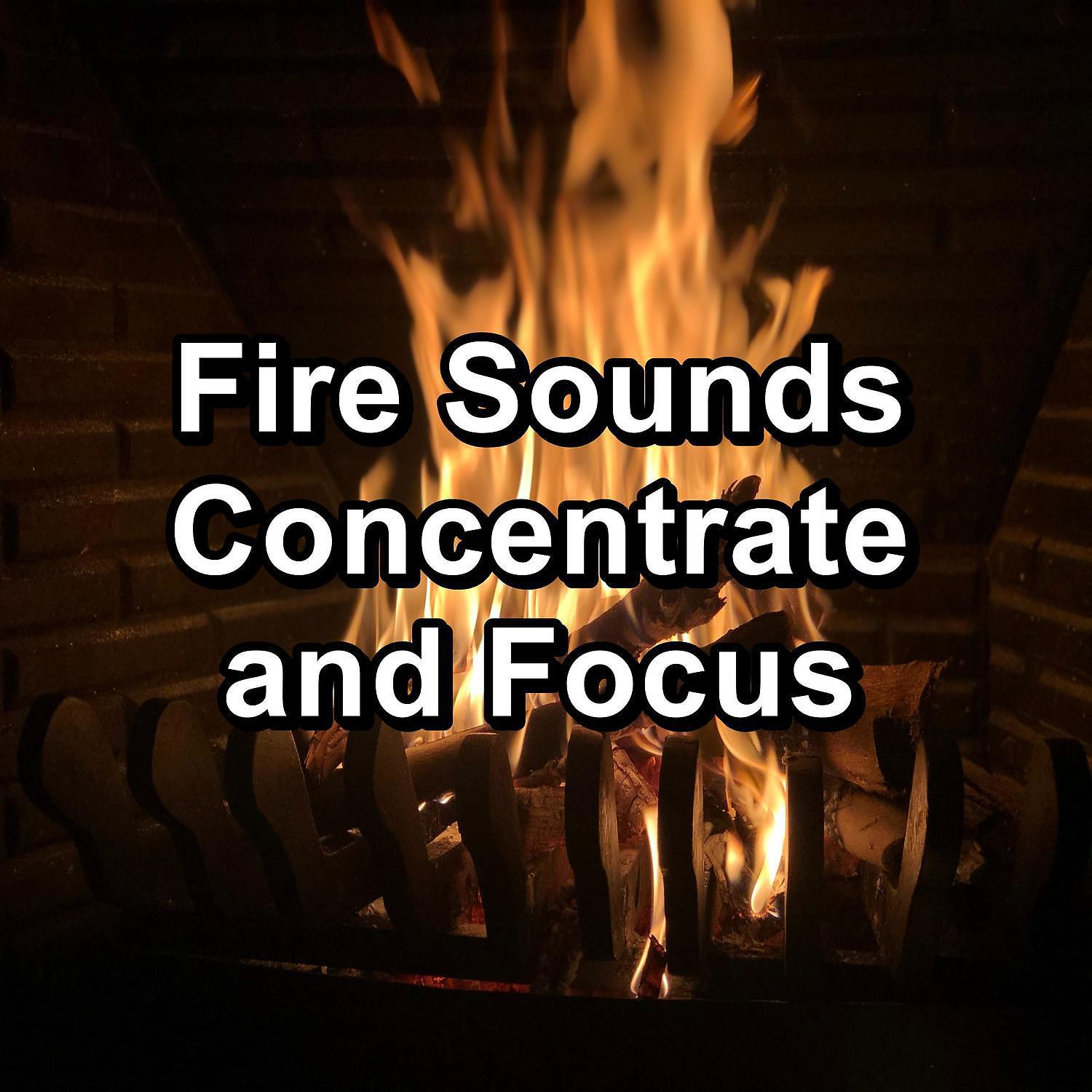 Постер альбома Fire Sounds Concentrate and Focus