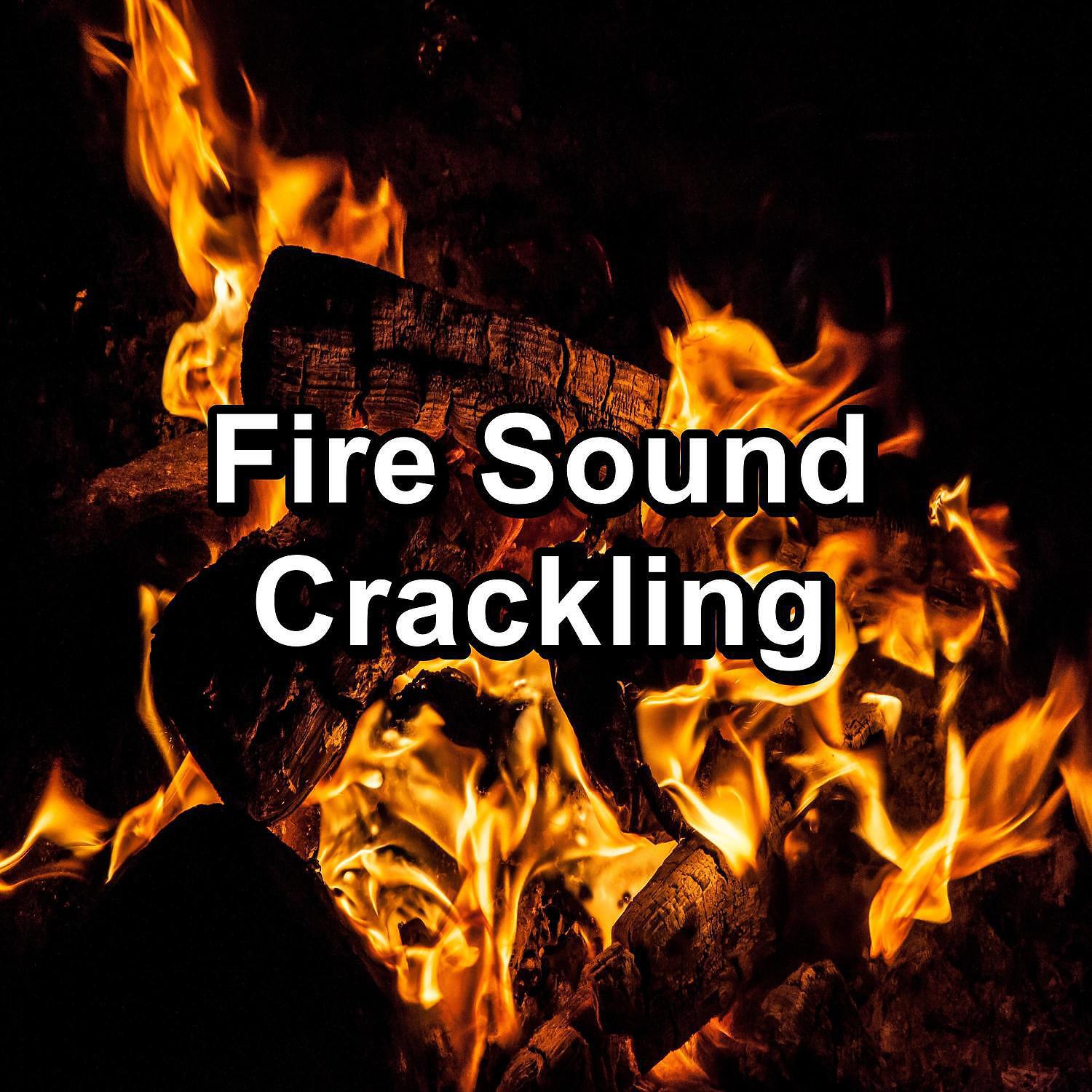 Focusity - Crackling Fire Place Sounds