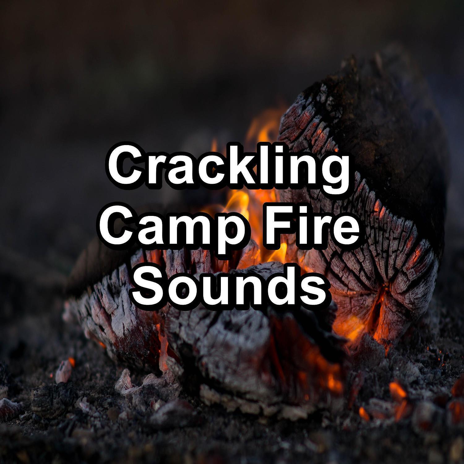 YOGA - Fire Crackling Sound Peaceful Ambience Relaxing Nature Sounds