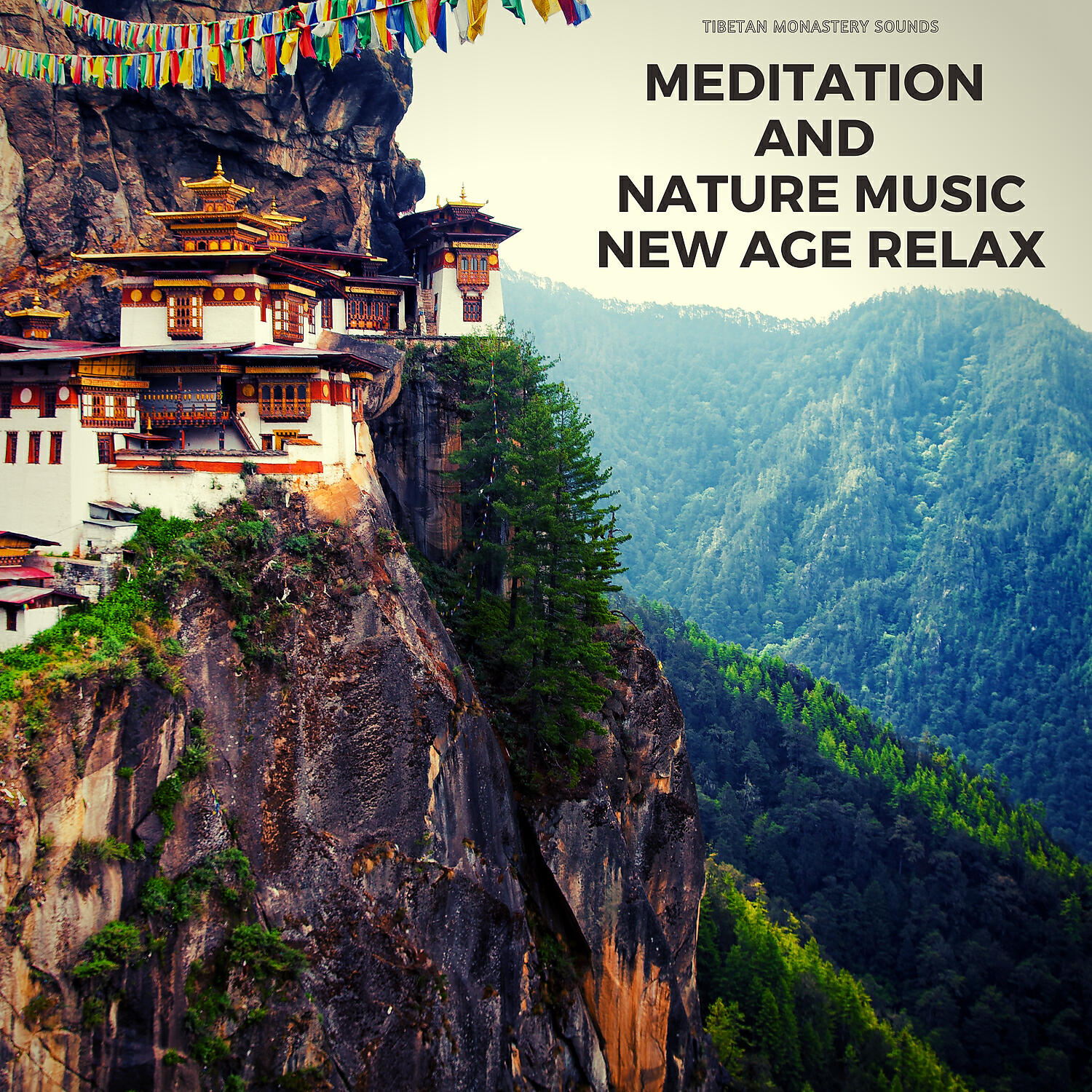 Tibetan Monastery Sounds - The Deepest Well (Nature Sounds)