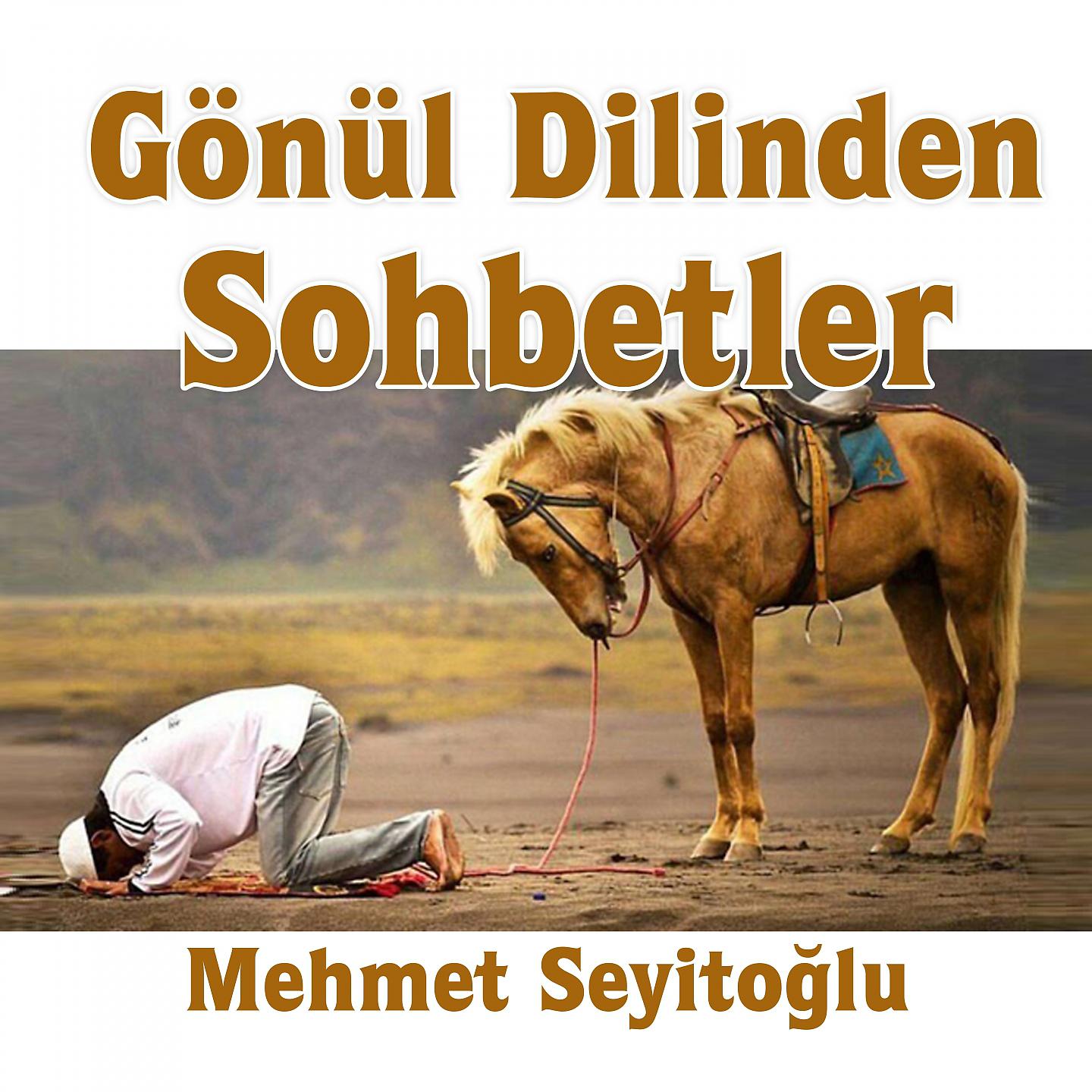Постер альбома Gönül Dilinden Sohbetler
