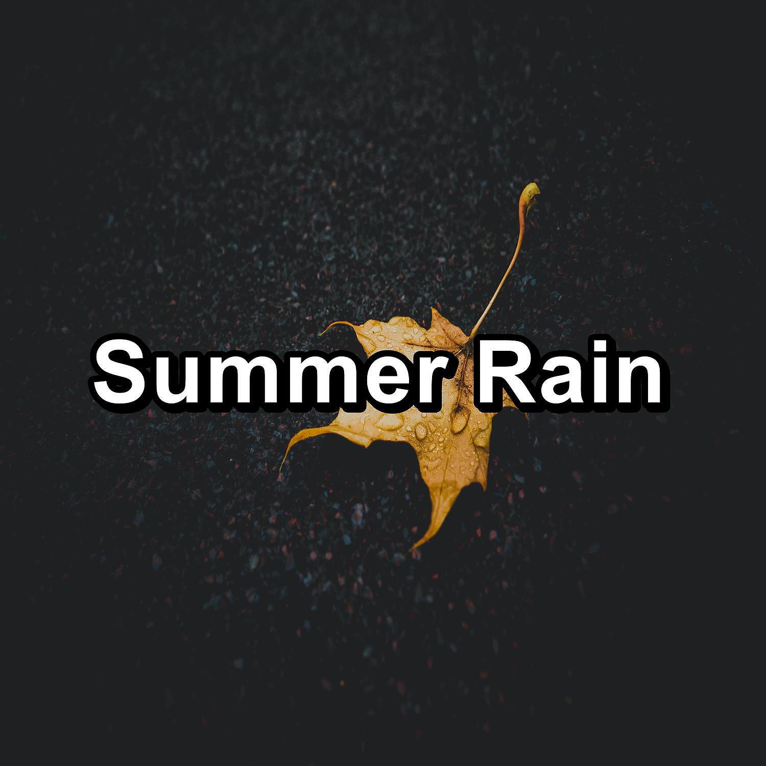 Rain For Deep Sleep - Rain in Coastal Areas