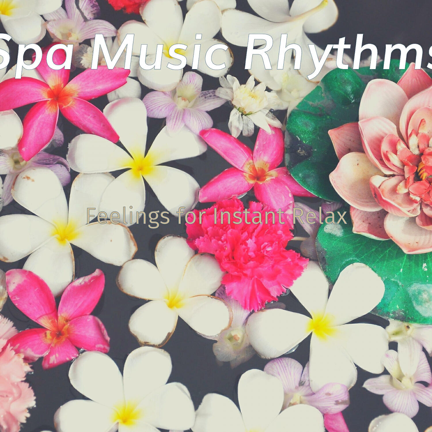 Spa Music Rhythms - Spacious Moods for Aroma Massage