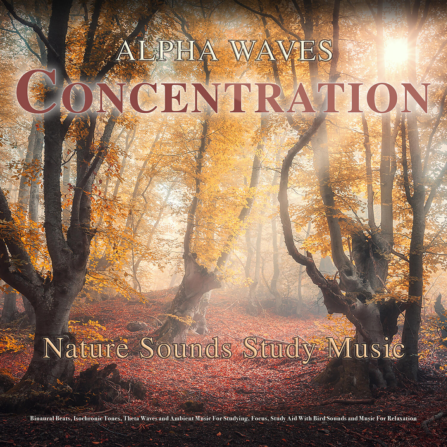 Binaural Beats Study Music - Binaural Beats Study Music