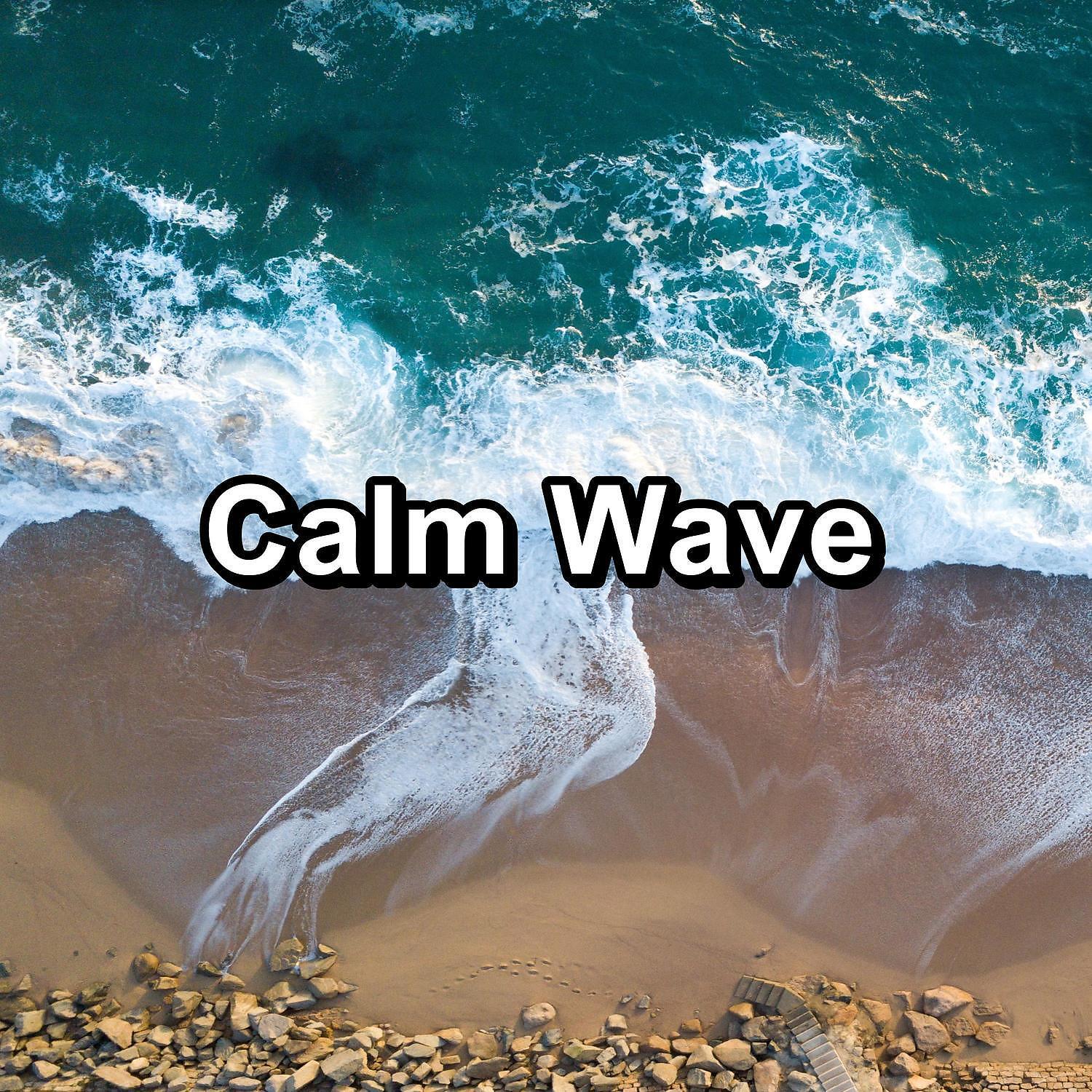 Calming Waves - Winds and Waves Earphones Sound