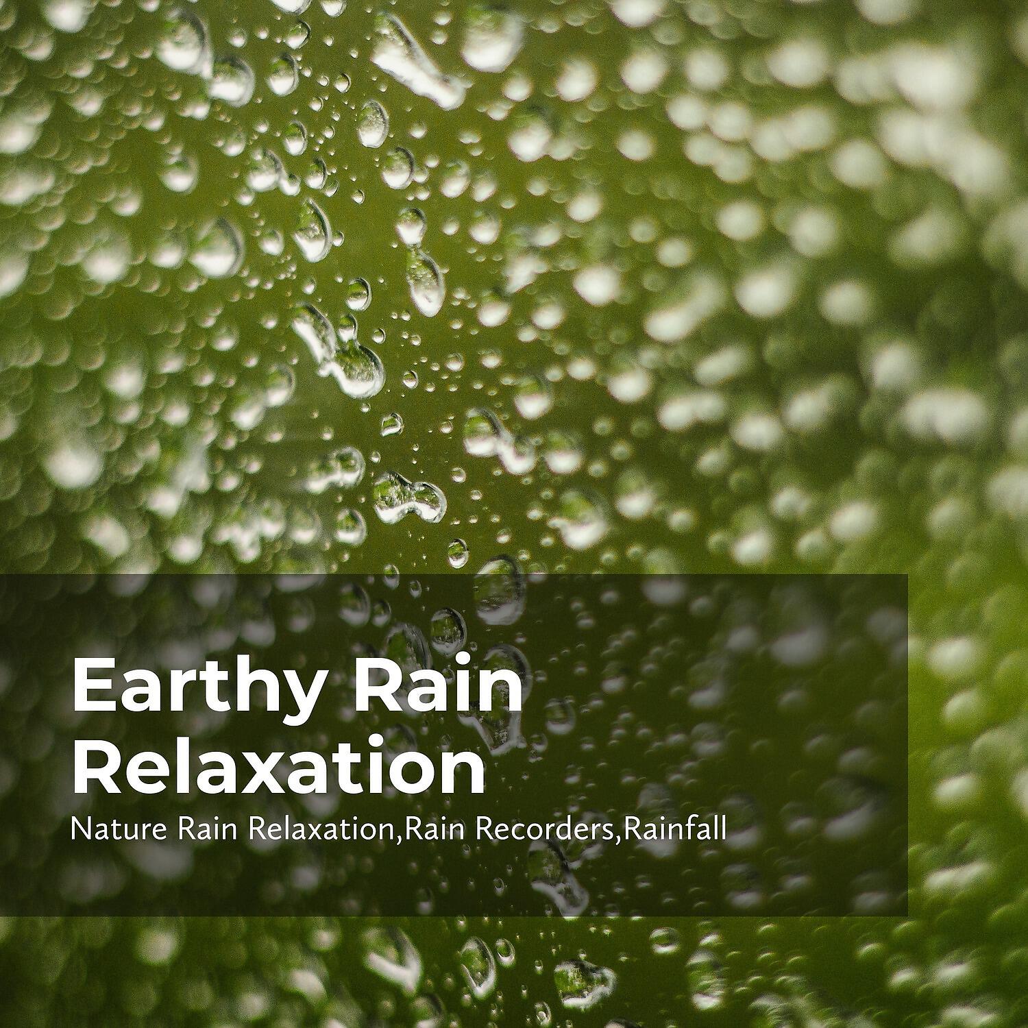 Rainfall - Woodland Jungle