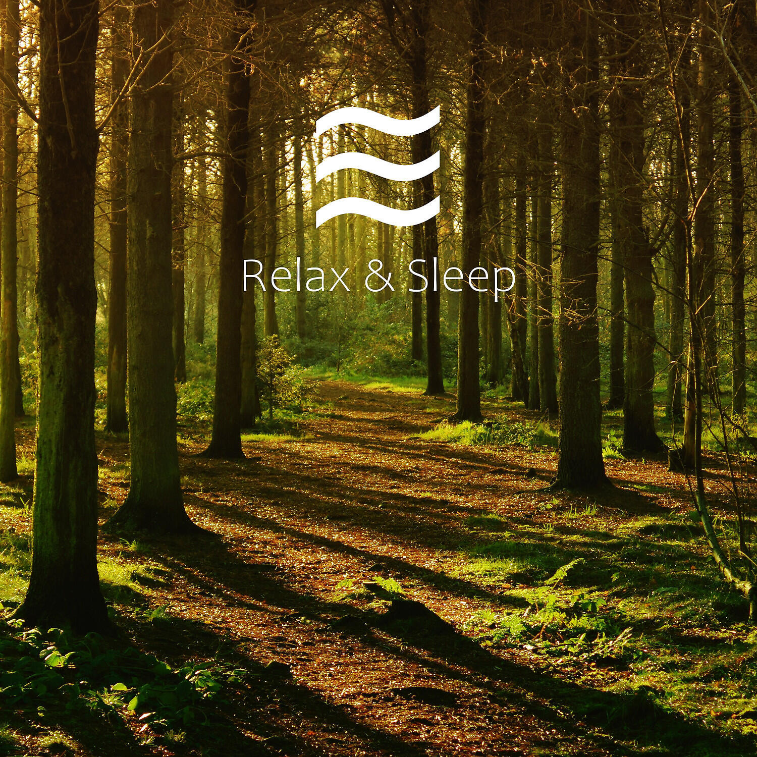 Relaxation Raining Noises - Shushing Noises of Rain