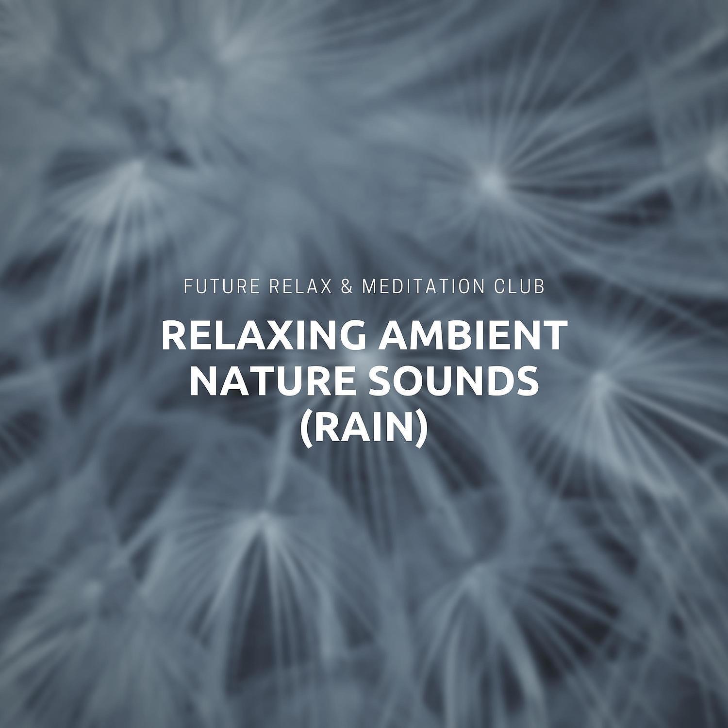 Ambient Meditation Club - Office Yoga
