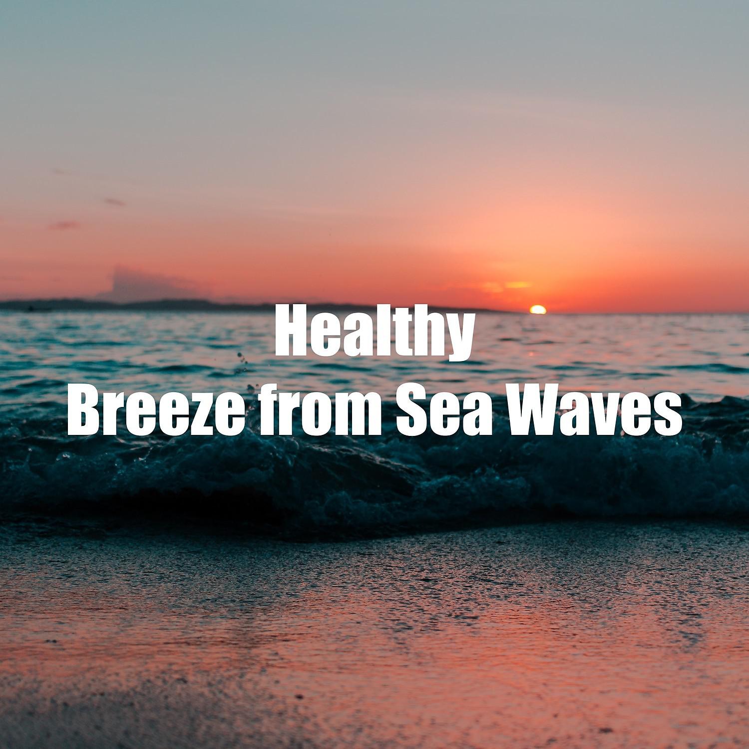Постер альбома Healthy Breeze from Sea Waves