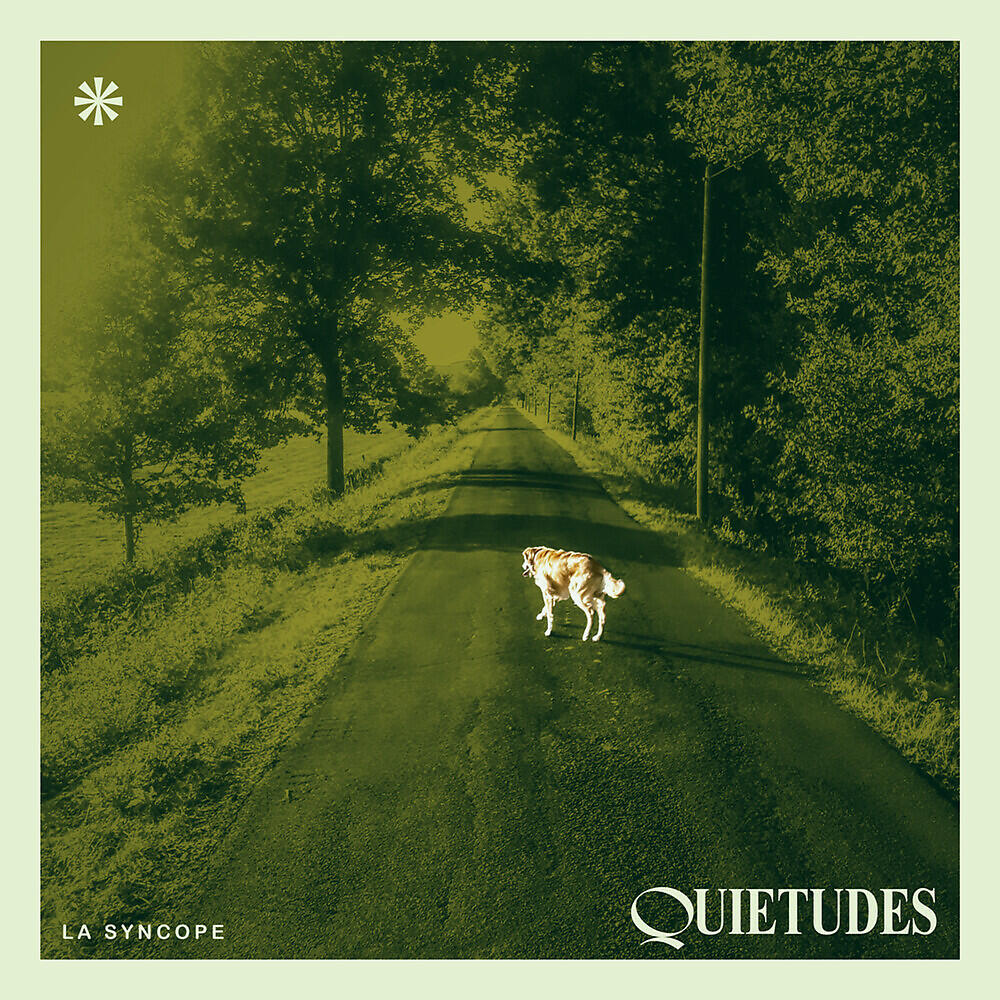 La Syncope - Sometimes I'