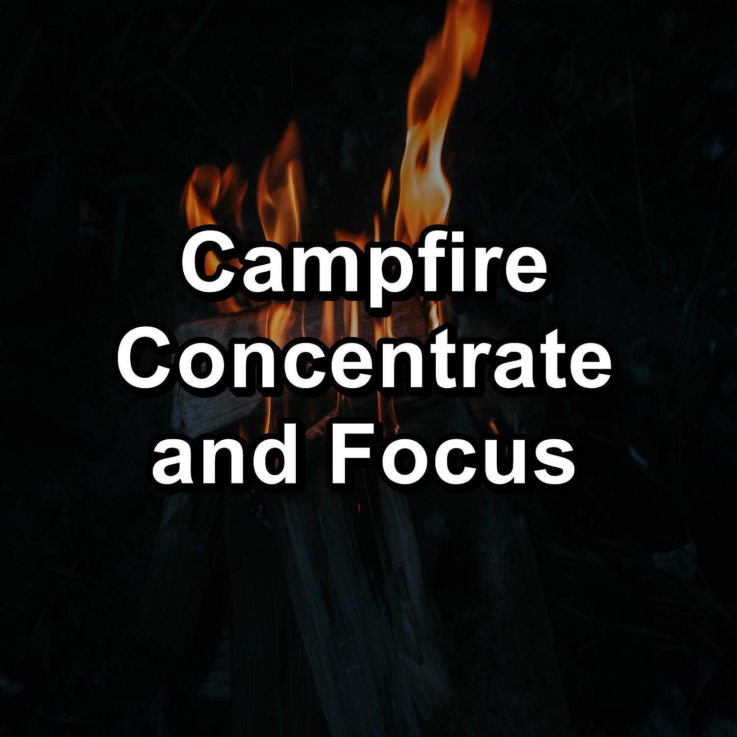 Yoga Shala - Fire Crackling Sounds For Concentration Christmas Campfire