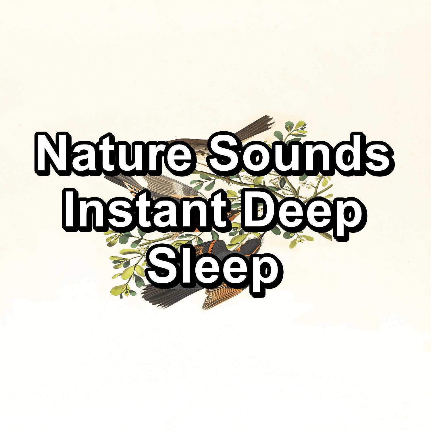 Постер альбома Nature Sounds Instant Deep Sleep