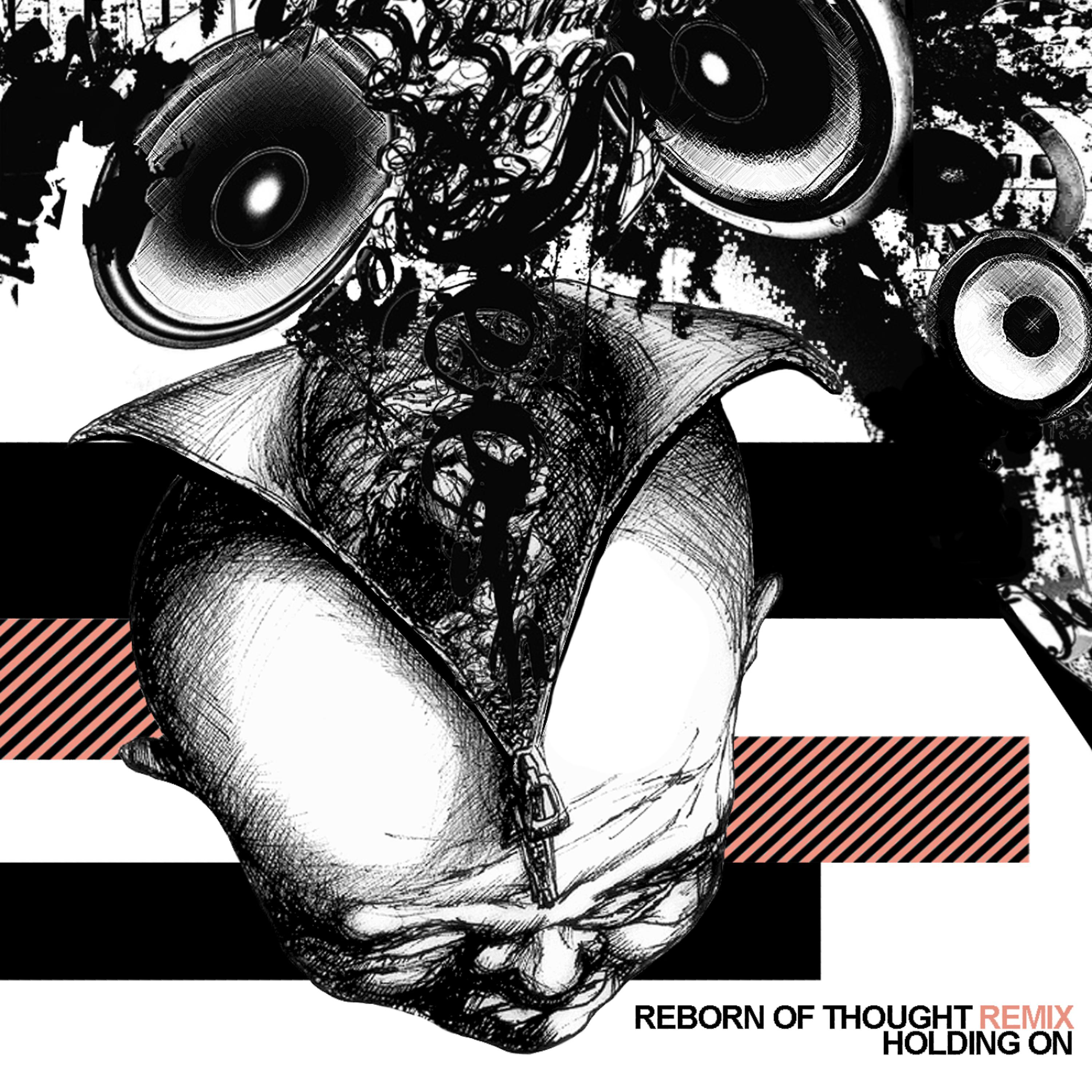 Постер альбома Reborn of Thought (Touchphonics Remix) / Holding On