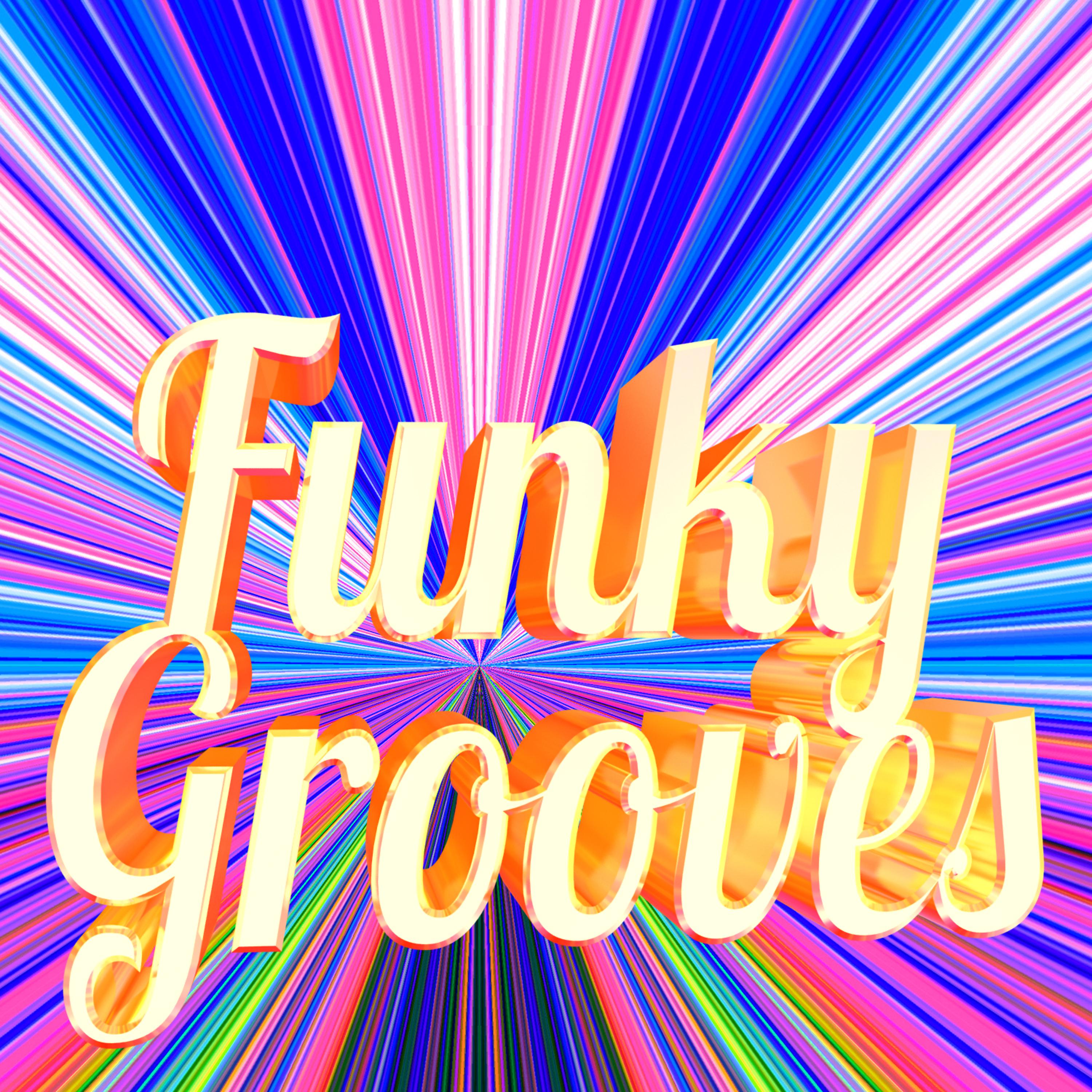 Постер альбома Funky Grooves