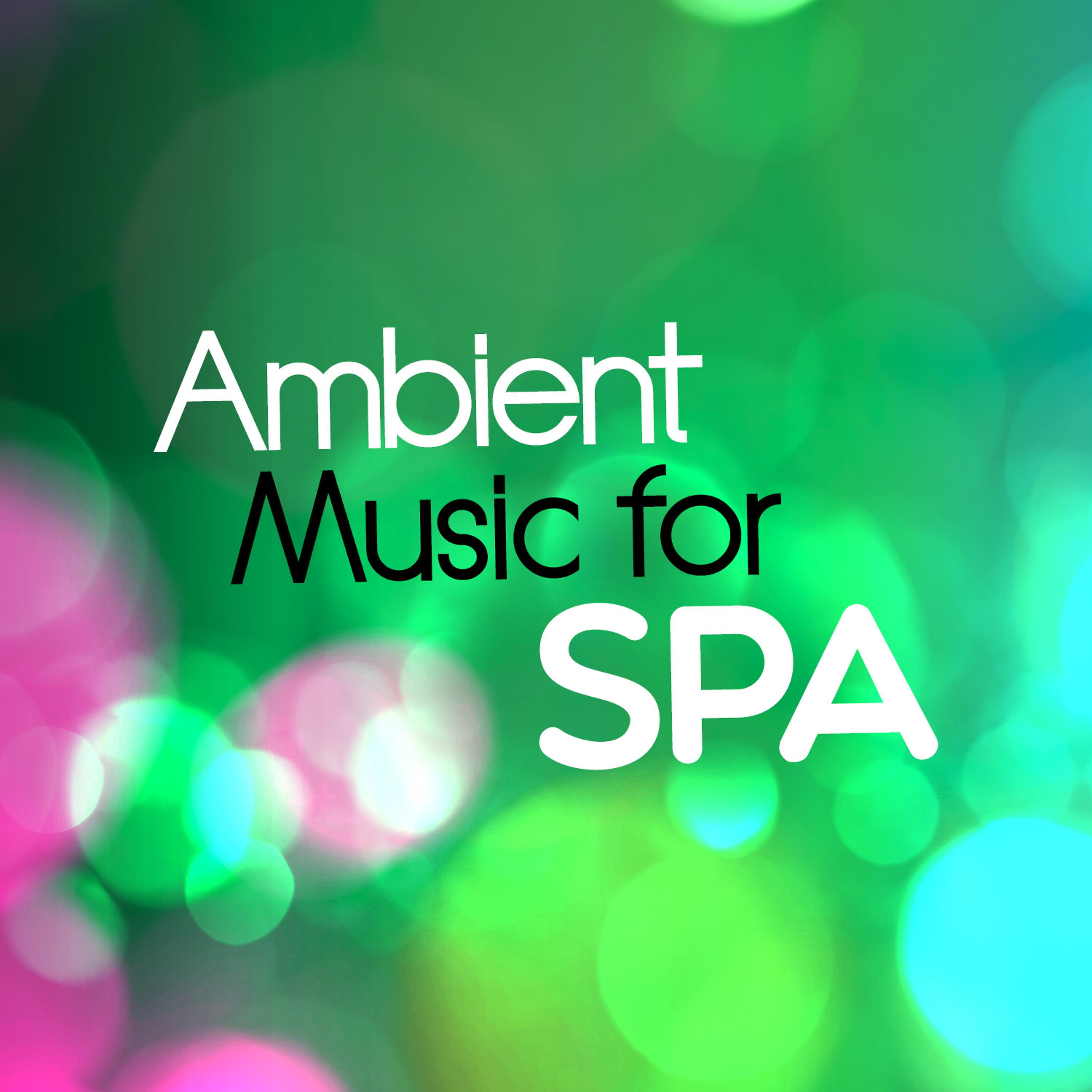 Постер альбома Ambient Music for Spa