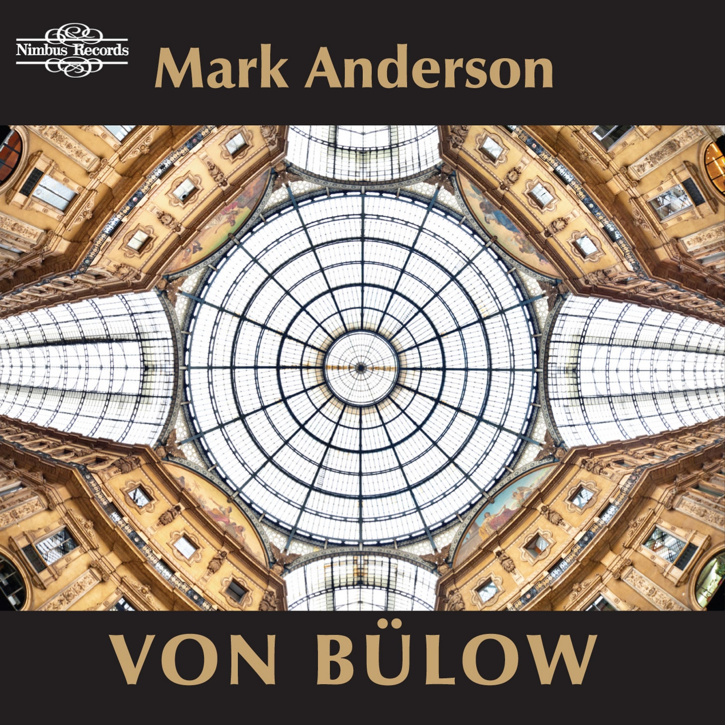 Постер альбома Von Bülow: Piano Music